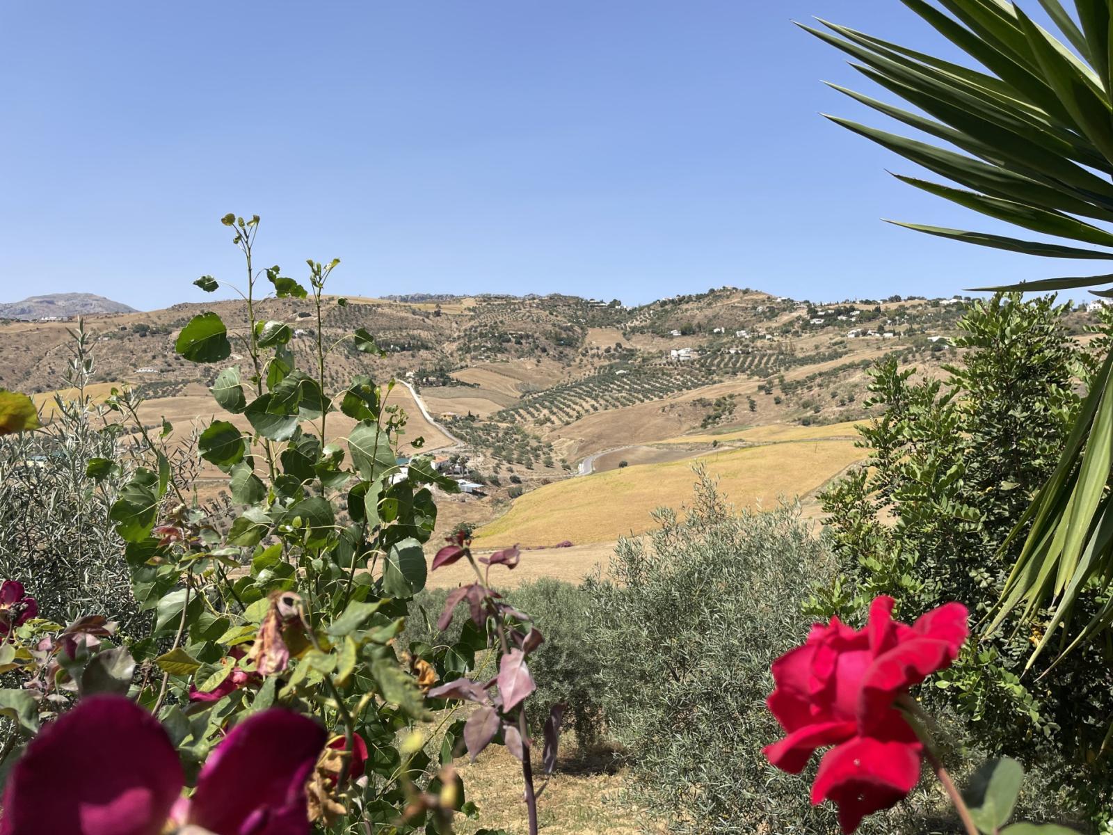 House for Sale in Villanueva de la Concepcion