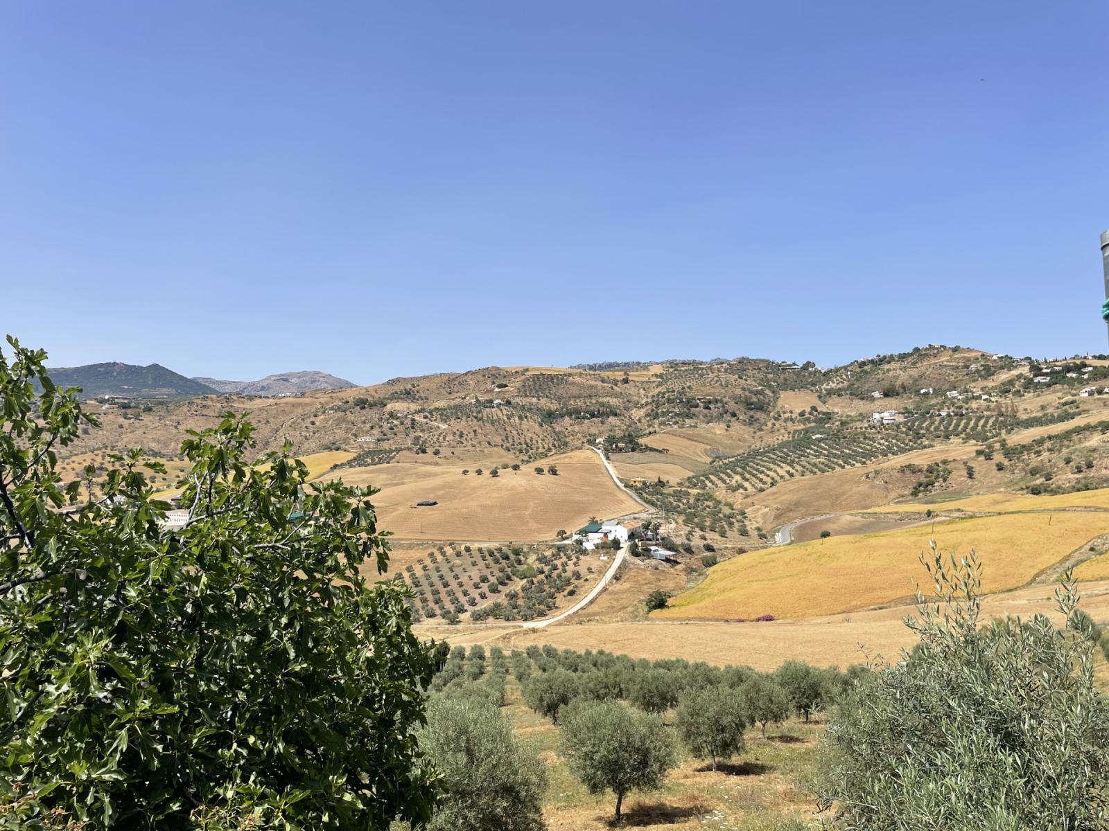 House for Sale in Villanueva de la Concepcion