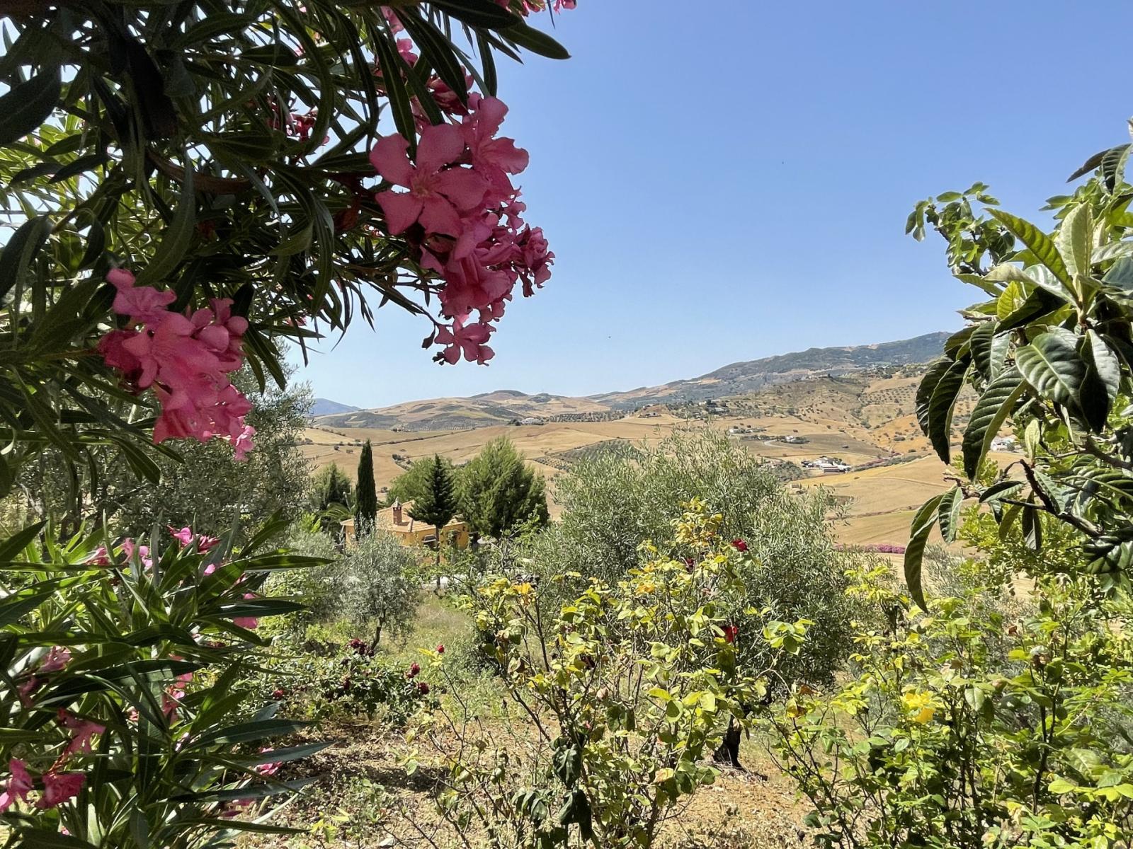 House for Sale in Villanueva de la Concepcion
