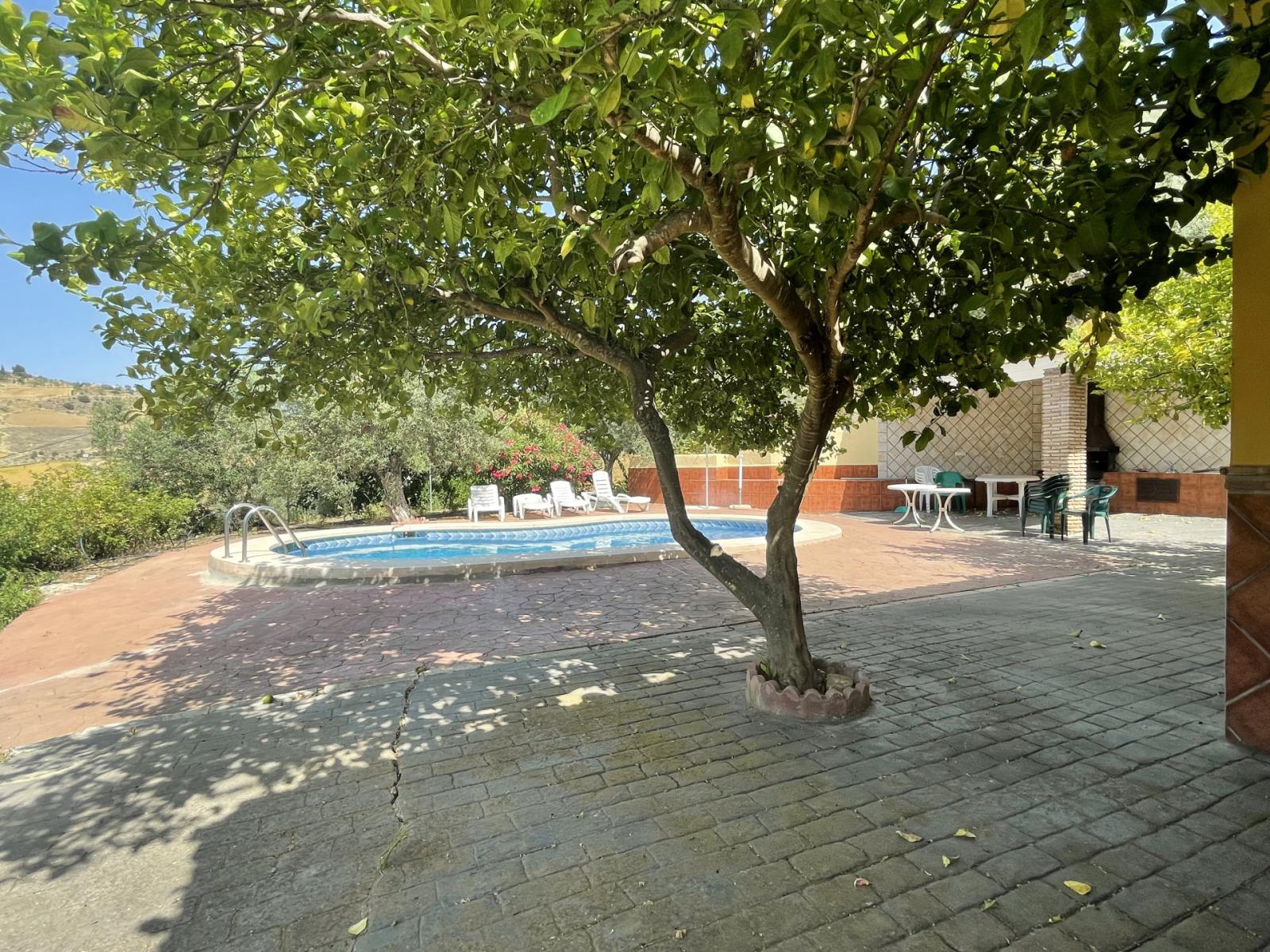 House for Sale in Villanueva de la Concepcion