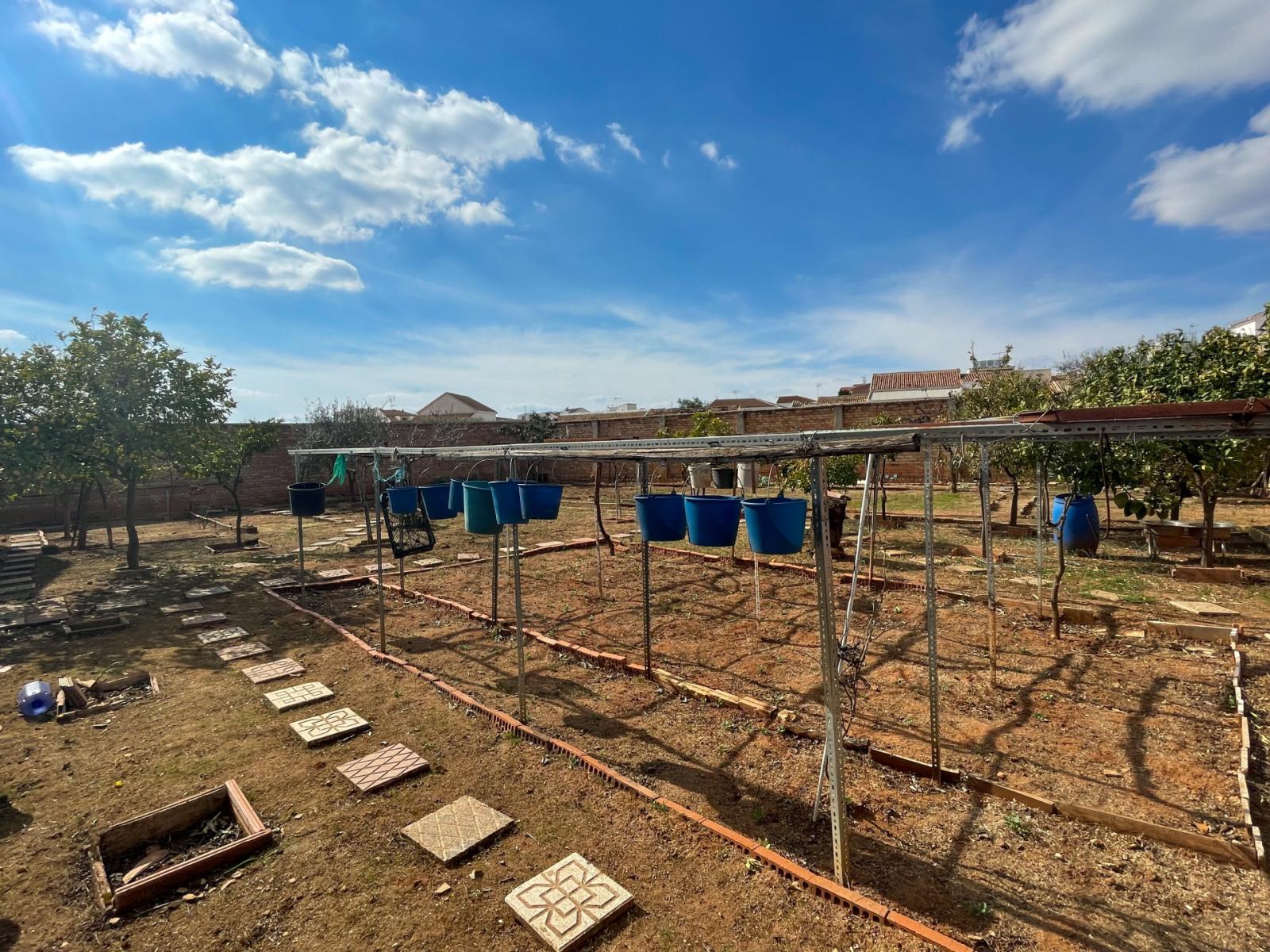 Parcela en Venta en Mollina