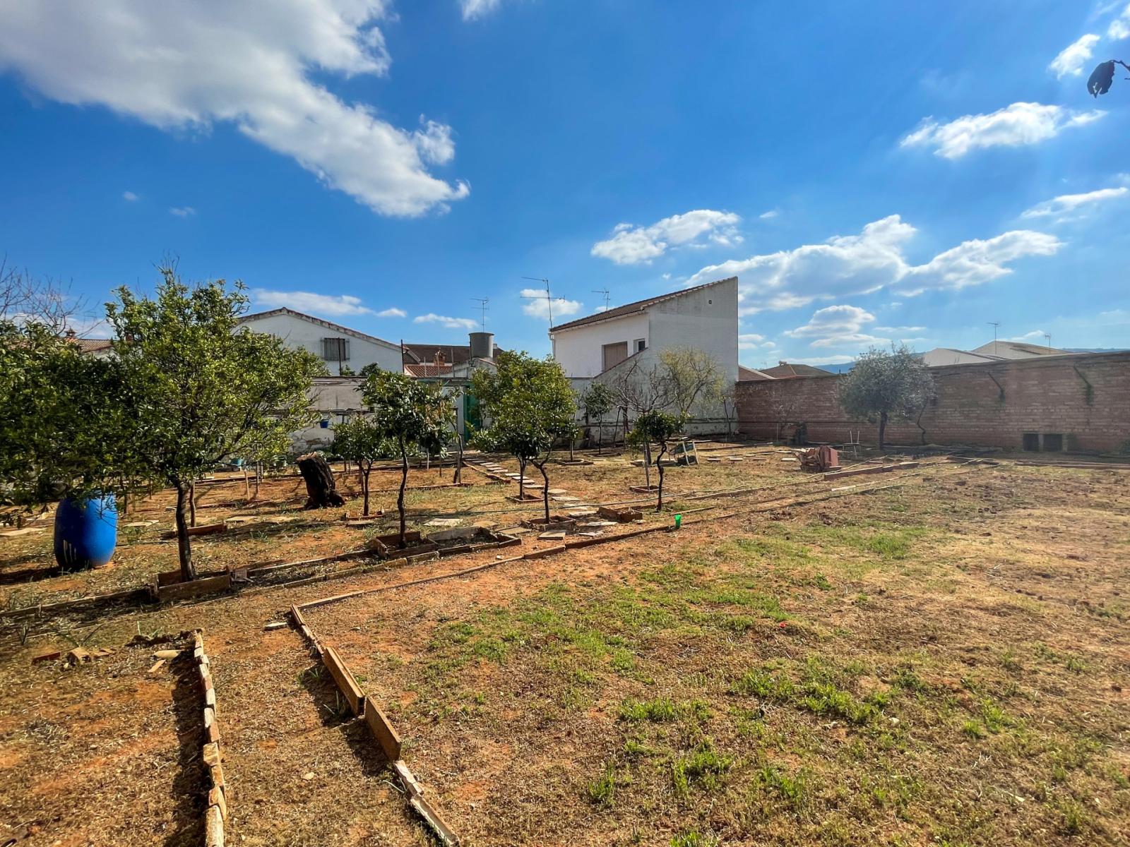 Parcela en Venta en Mollina