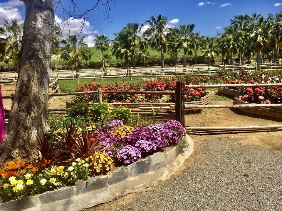 Finca en Venta en Coín