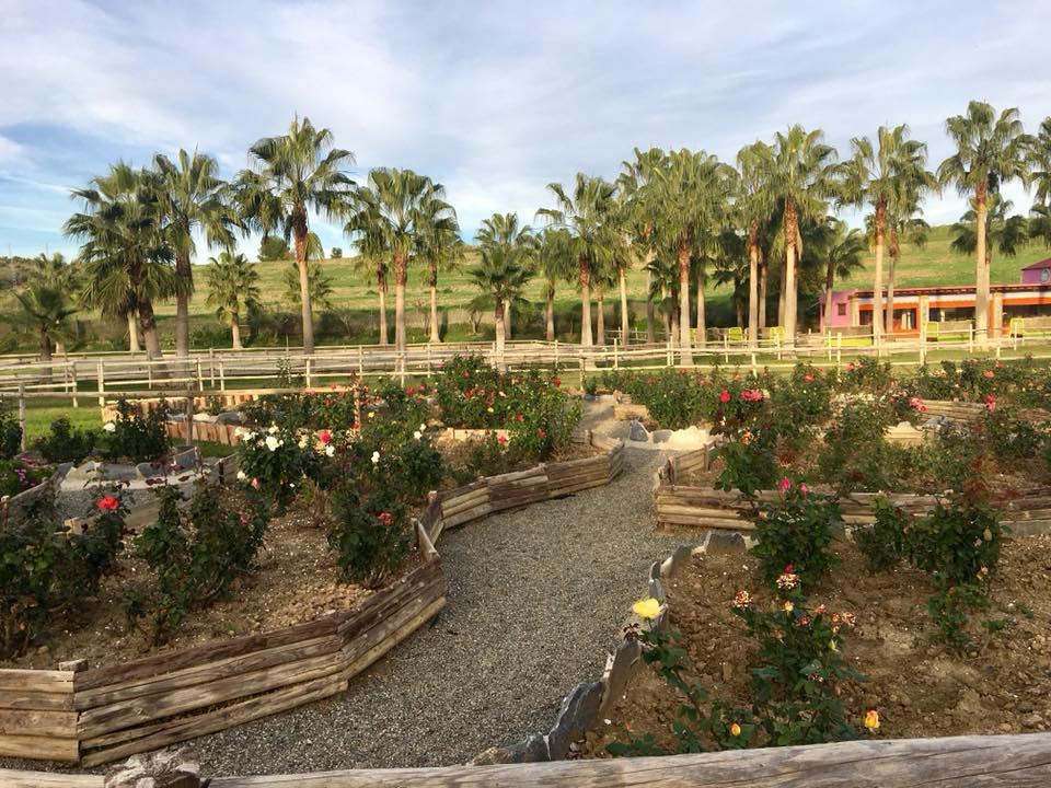Finca en Venta en Coín