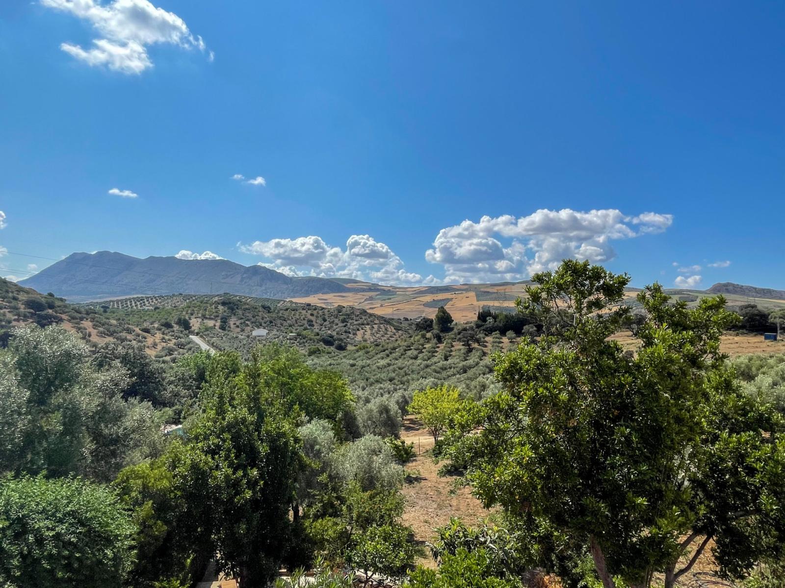 Villa en Venta en Antequera