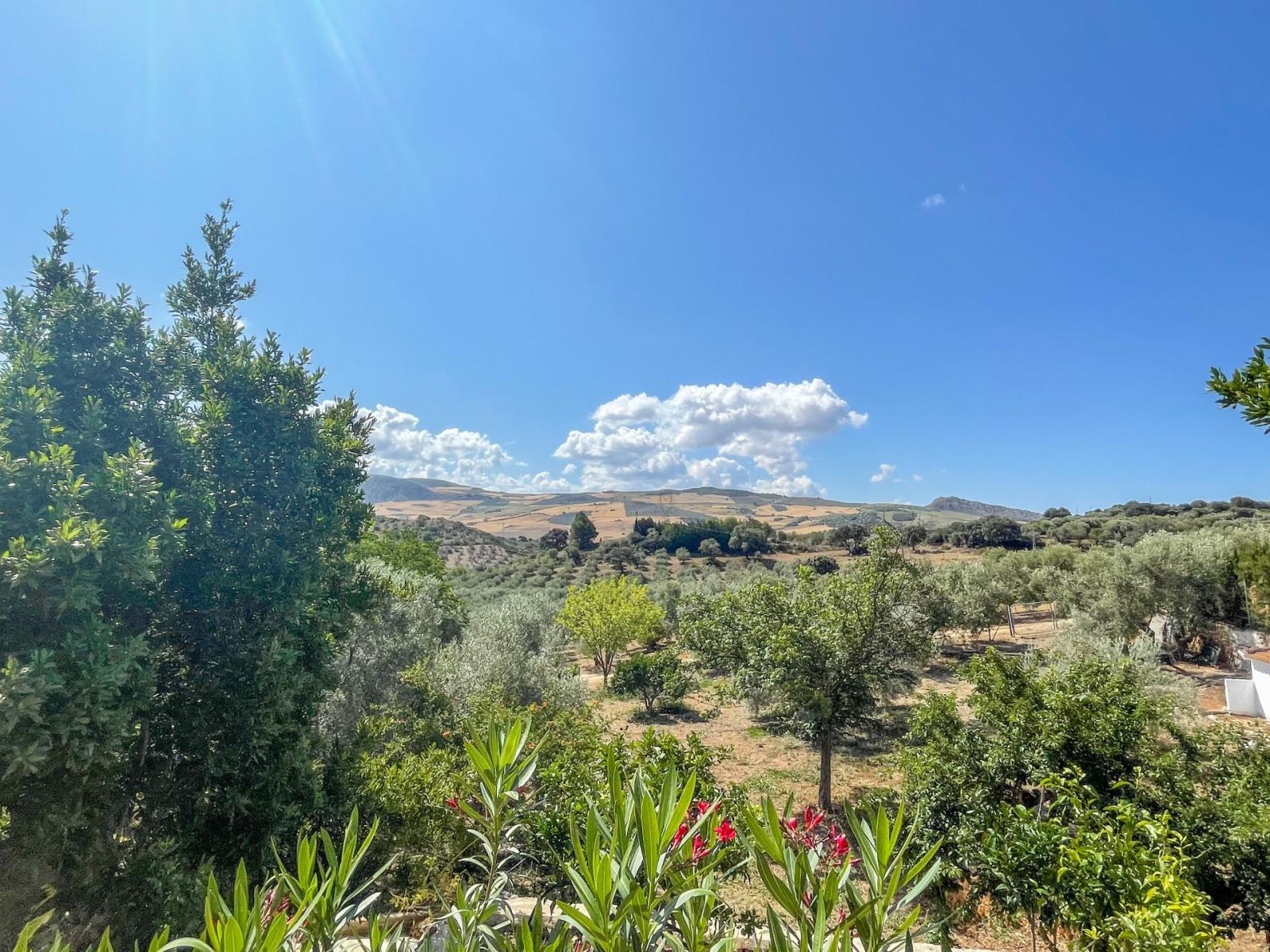 Villa en Venta en Antequera