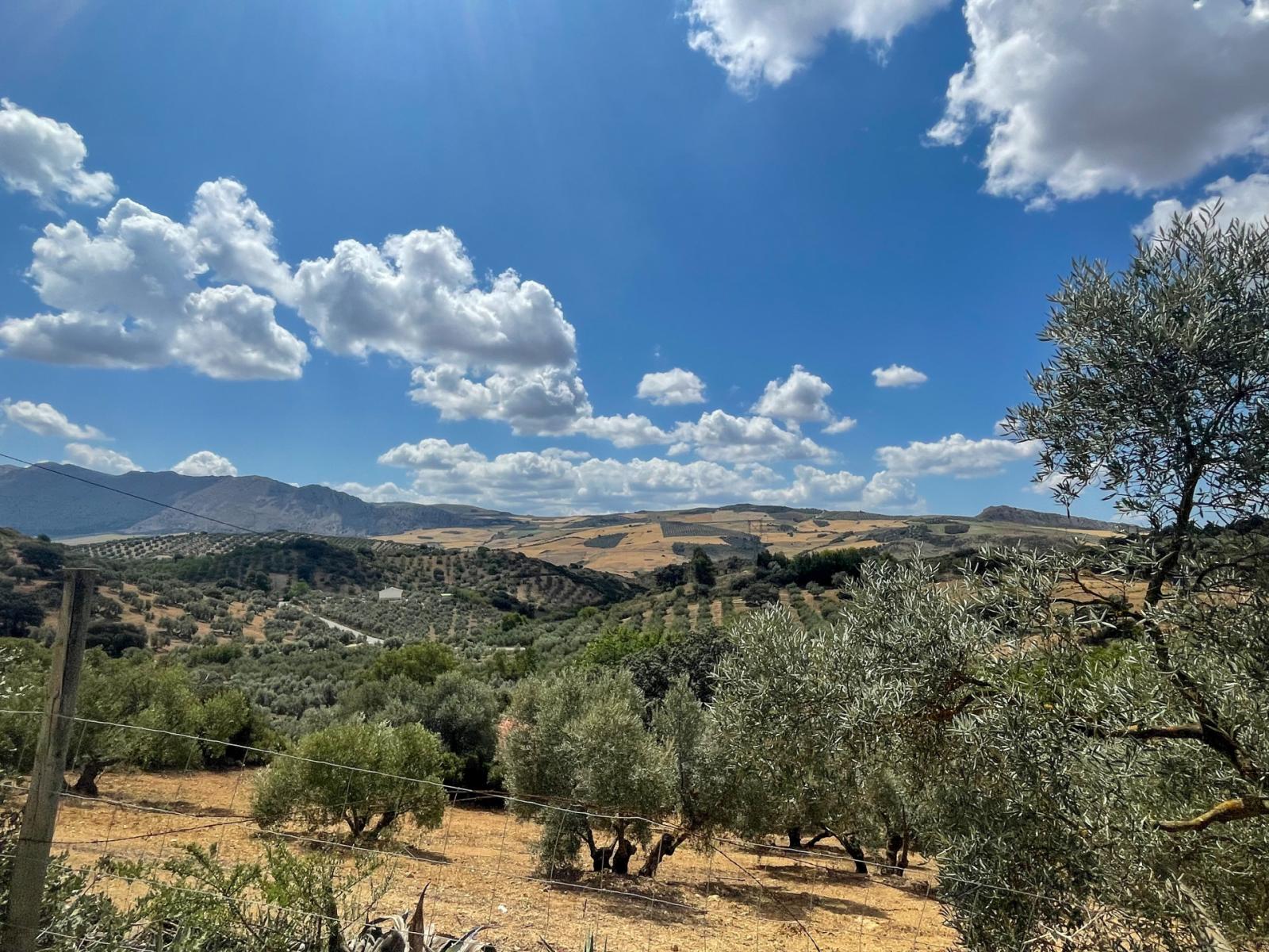 Villa en Venta en Antequera