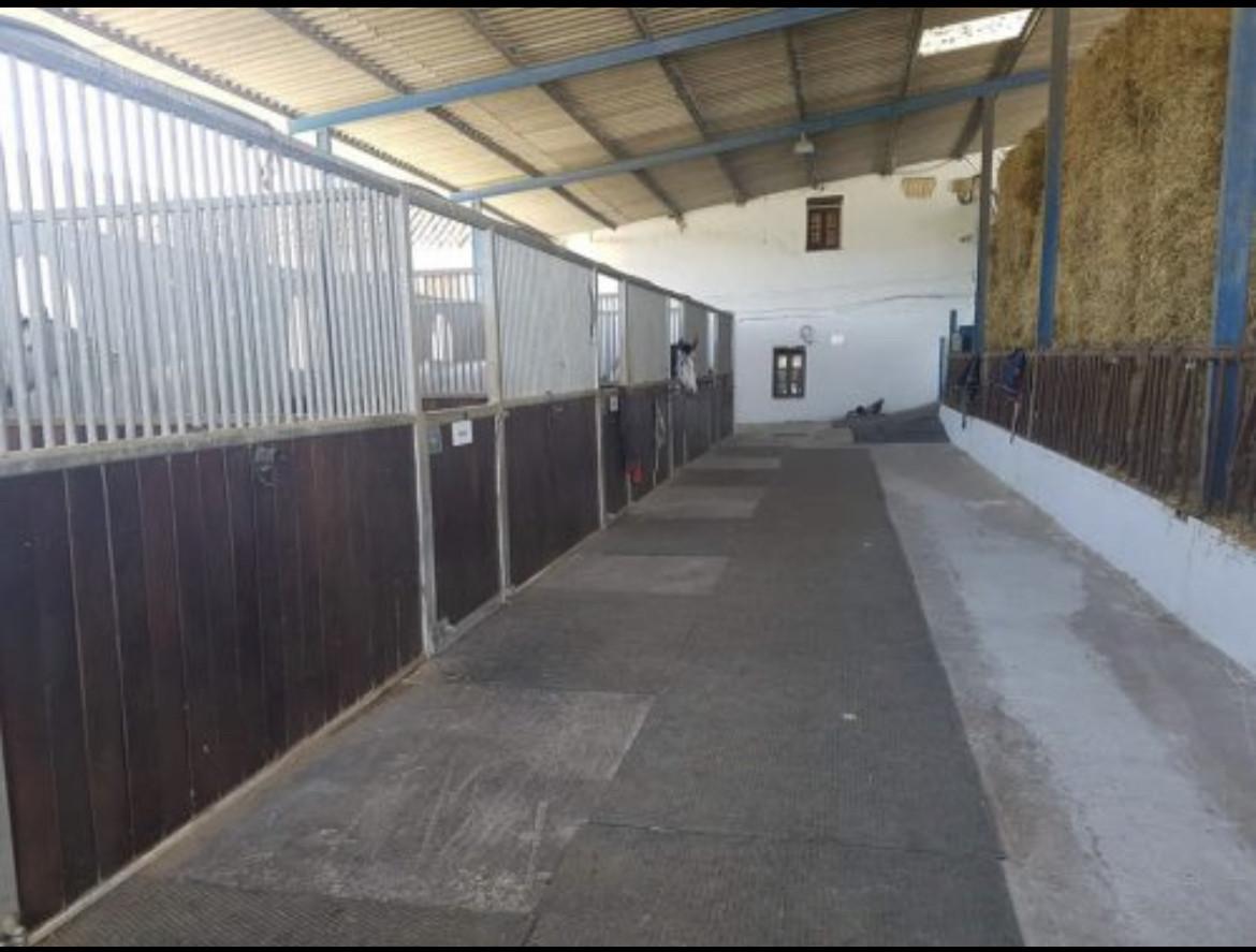 Villa en Venta en Mollina