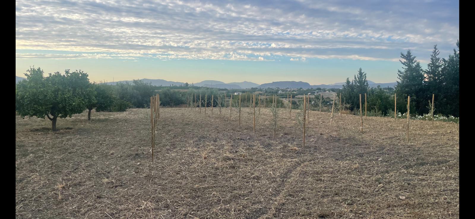 Finca en Venta en Alhaurín el Grande