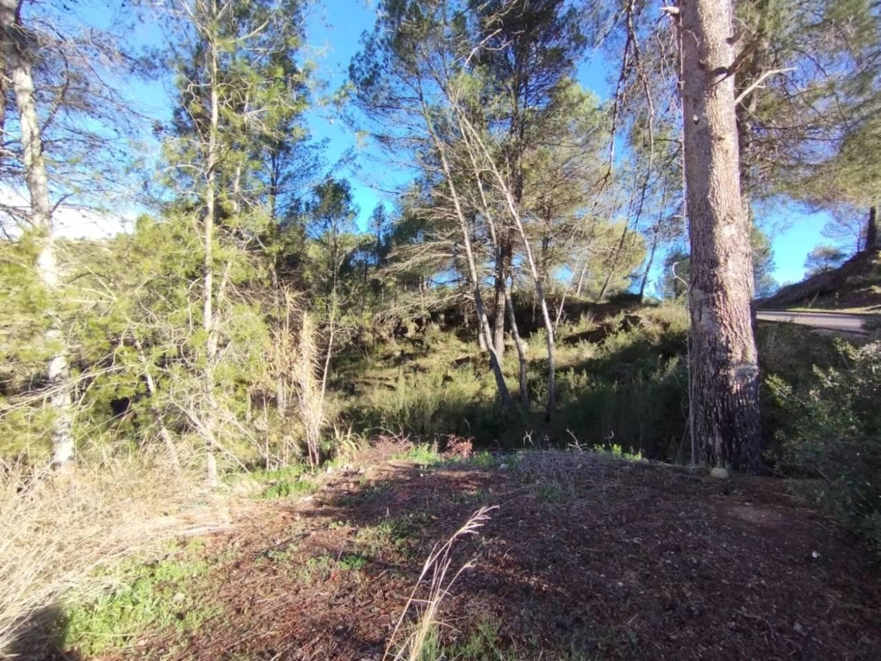 Building Site for Sale in La Pobla de Claramunt