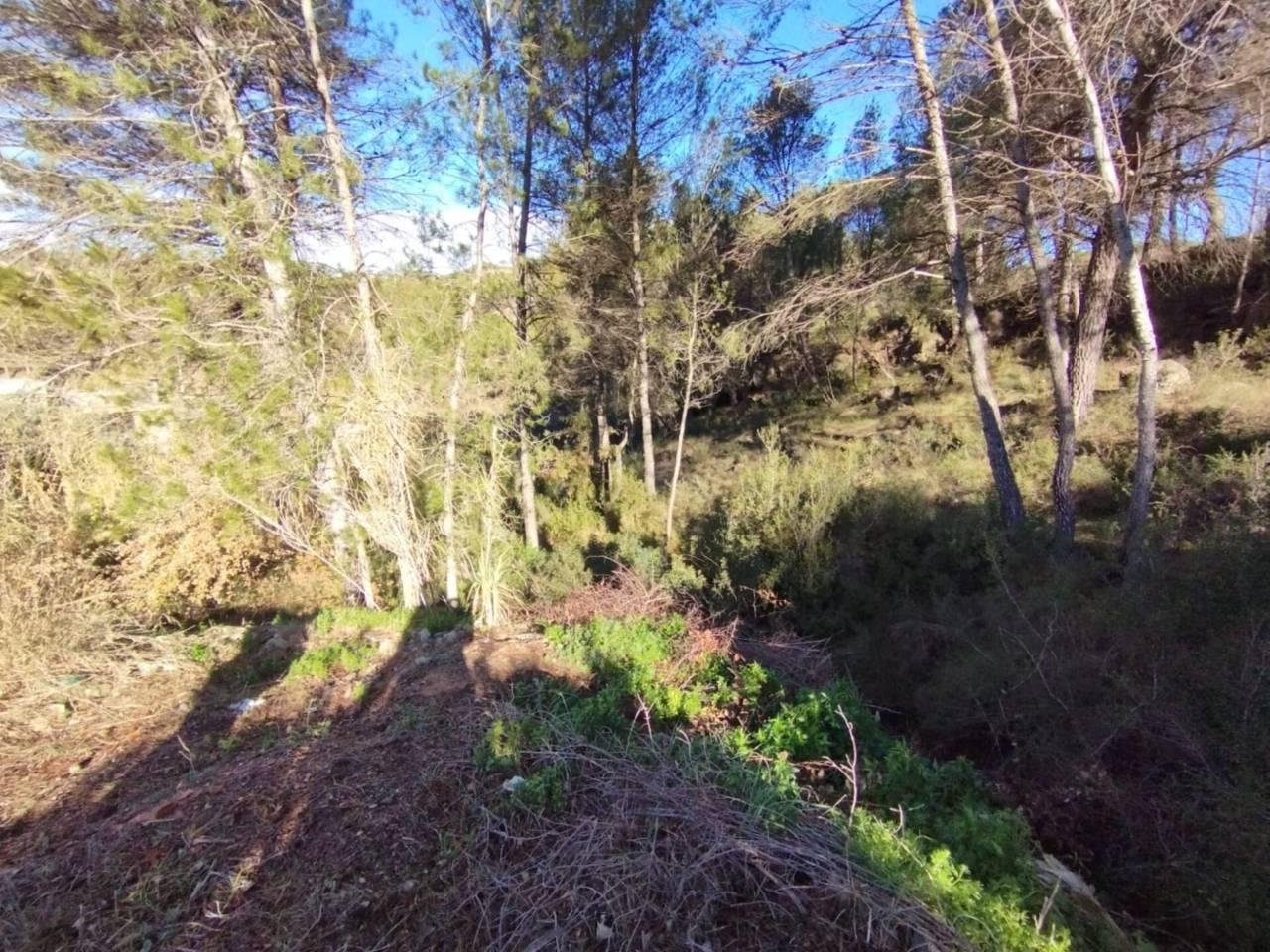 Building Site for Sale in La Pobla de Claramunt