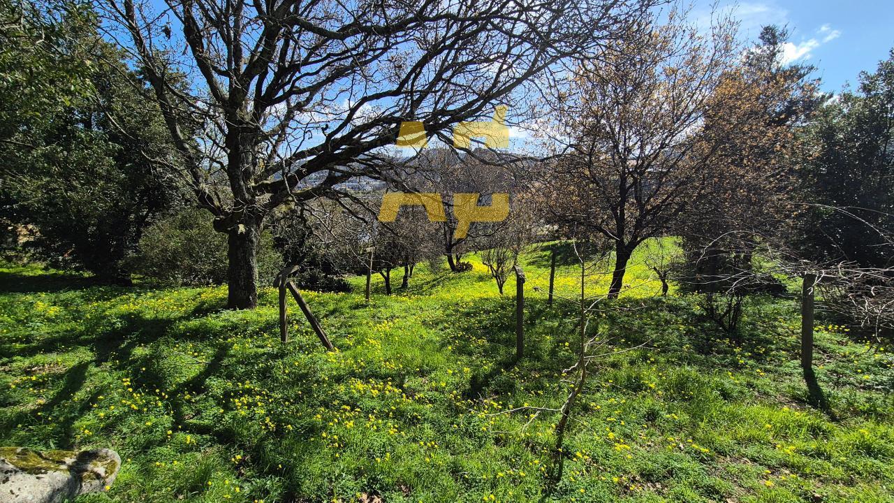 Plot for Sale in Vigo