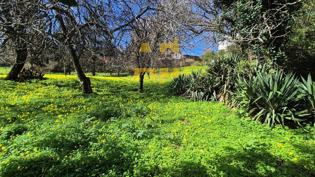 Plot for Sale in Vigo