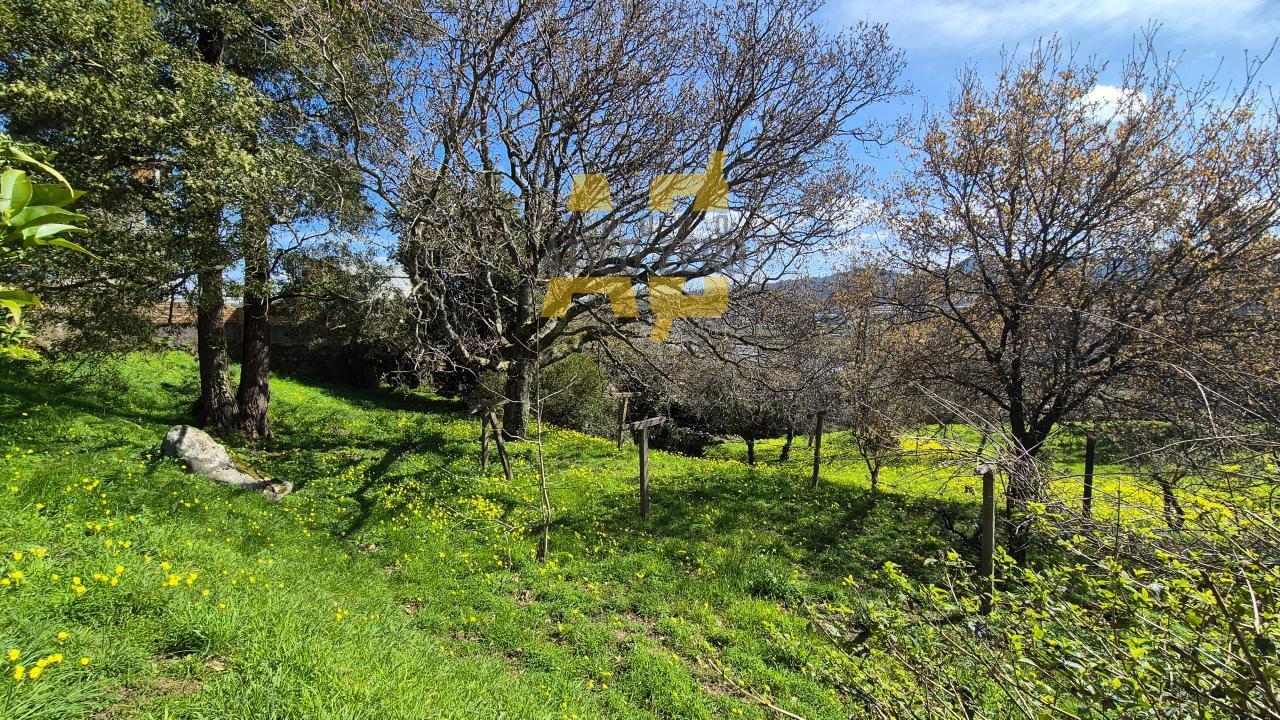 Plot for Sale in Vigo