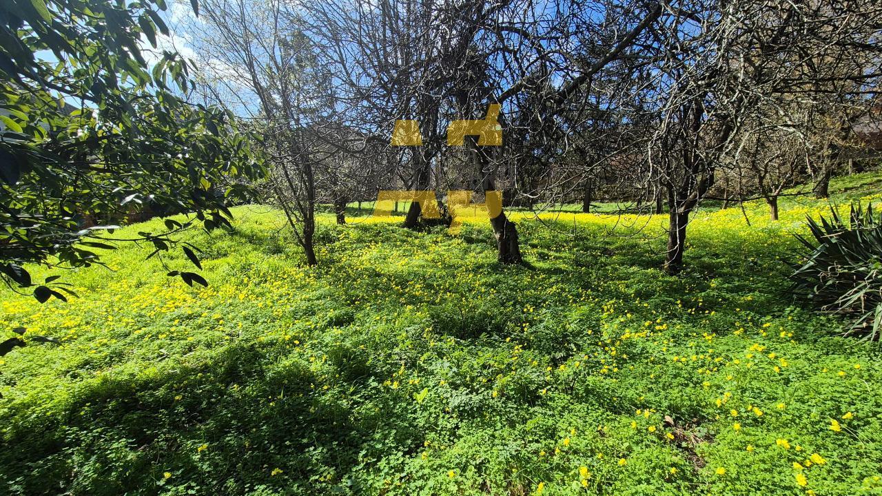 Plot for Sale in Vigo