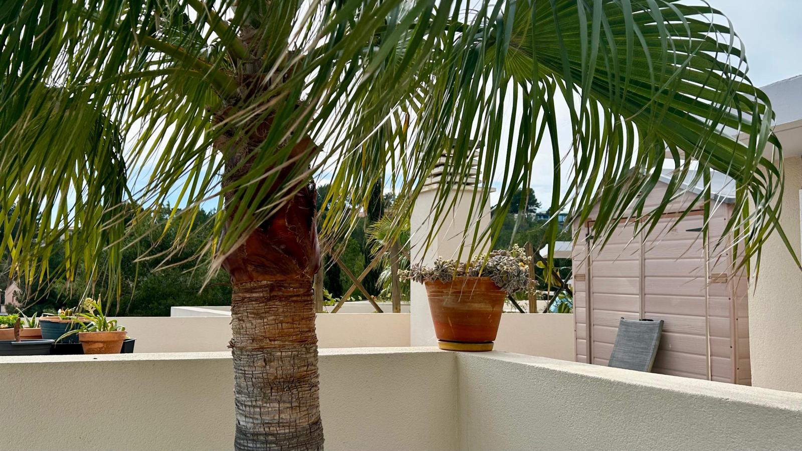 Apartment for Rent in Calvià
