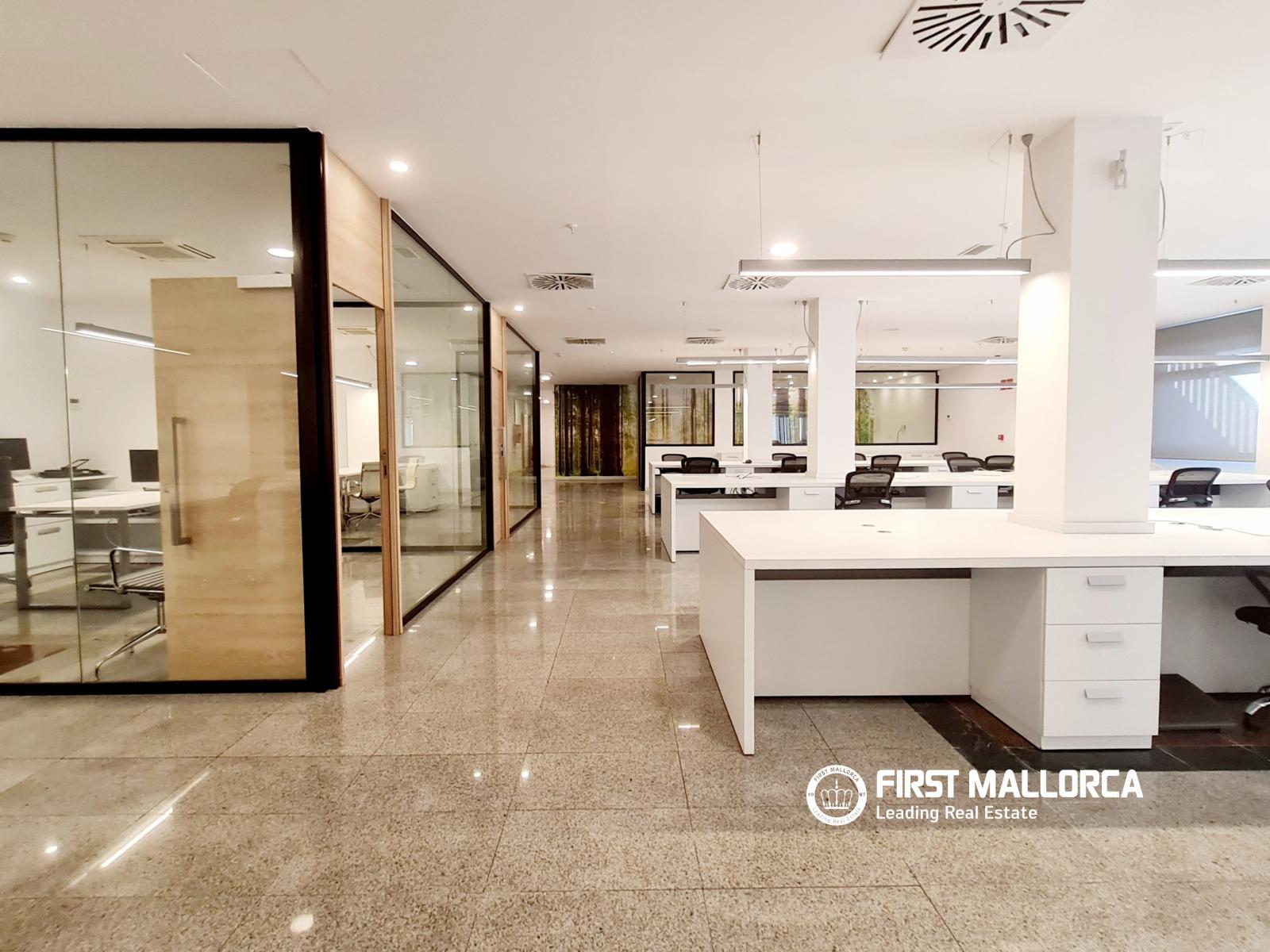 Premise for Rent in Palma de Mallorca