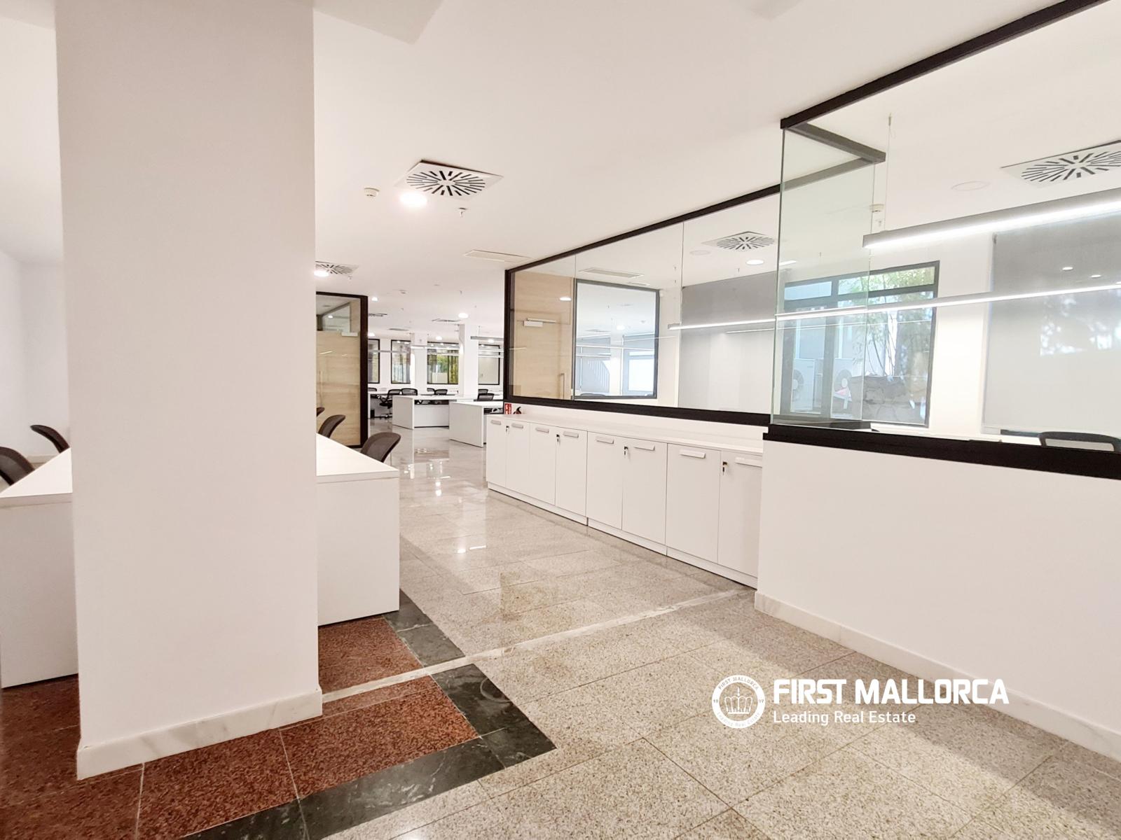 Premise for Rent in Palma de Mallorca
