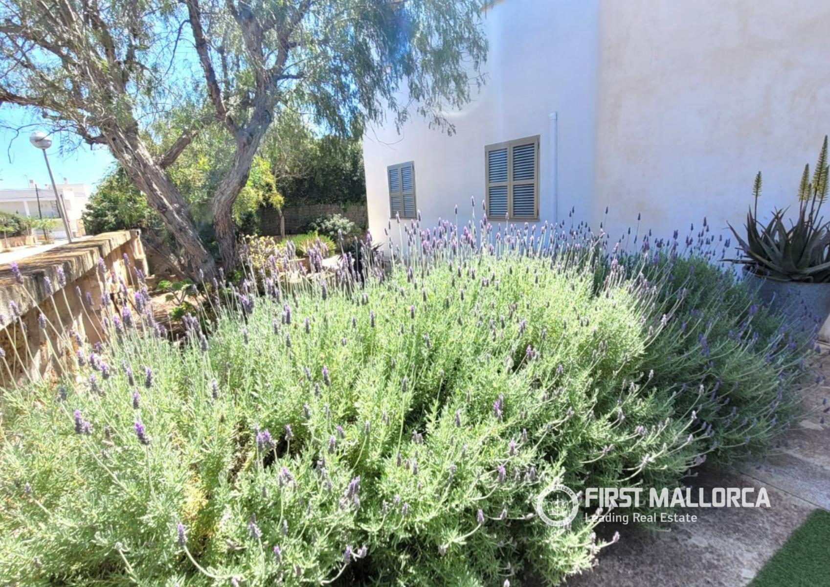 Apartment for Rent in Llucmajor