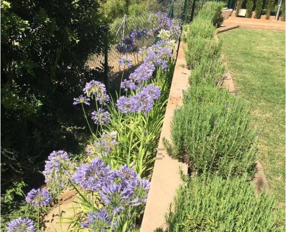 Semi-detached House for Rent in Calvià