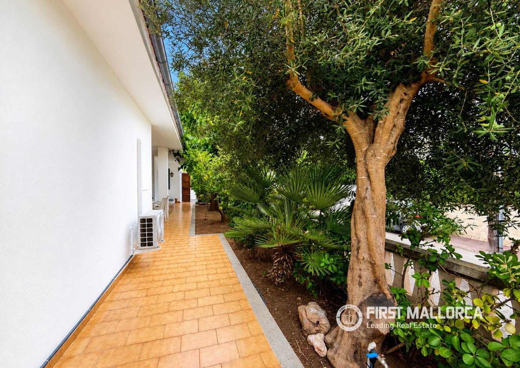 Villa for Rent in Alcúdia