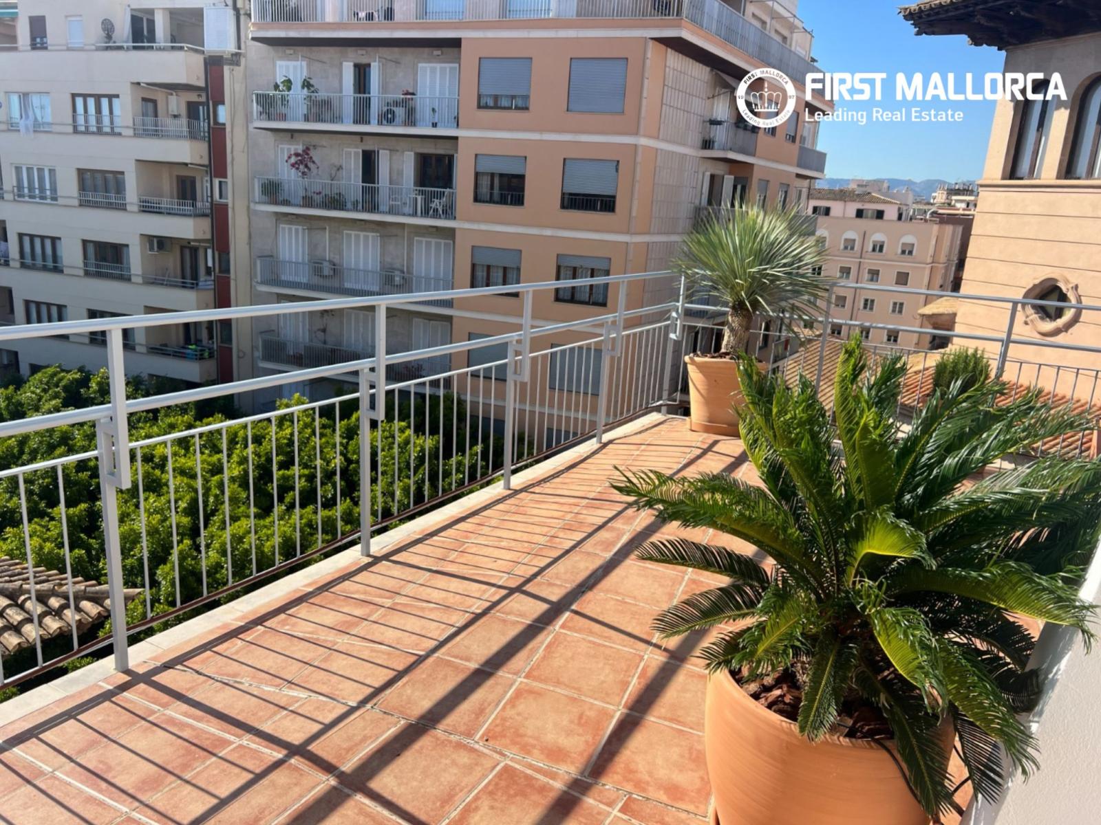 Penthouse for Rent in Palma de Mallorca
