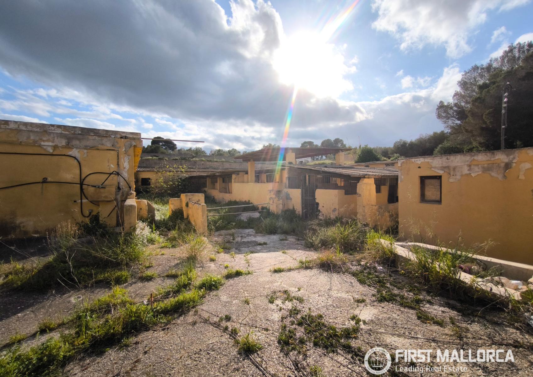Premise for Sale in Palma de Mallorca