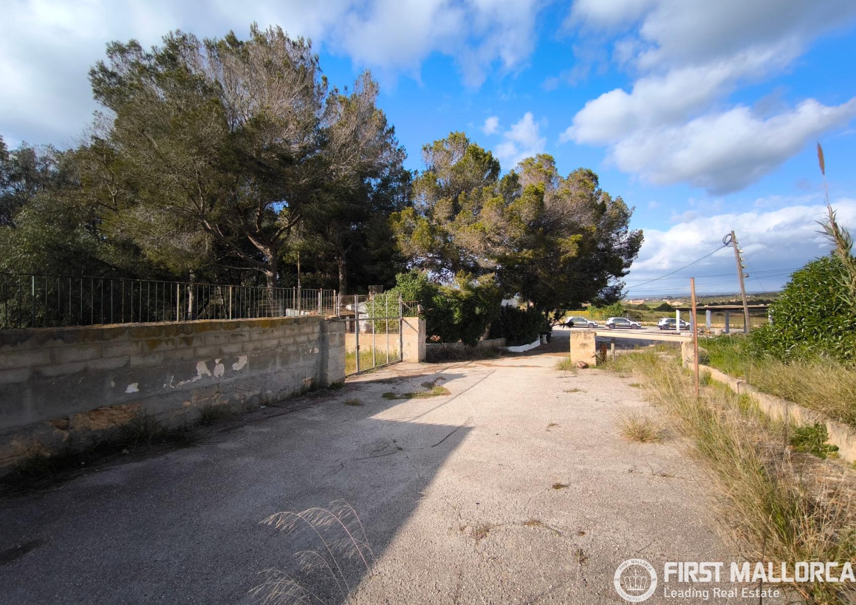 Premise for Sale in Palma de Mallorca