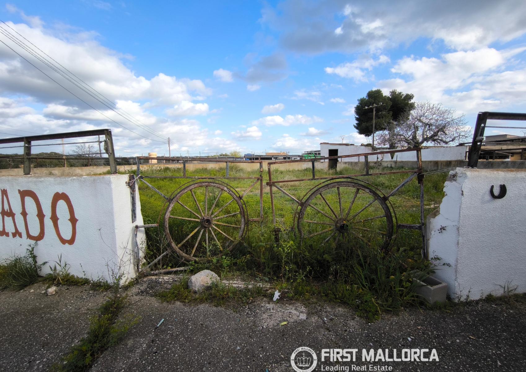 Premise for Sale in Palma de Mallorca