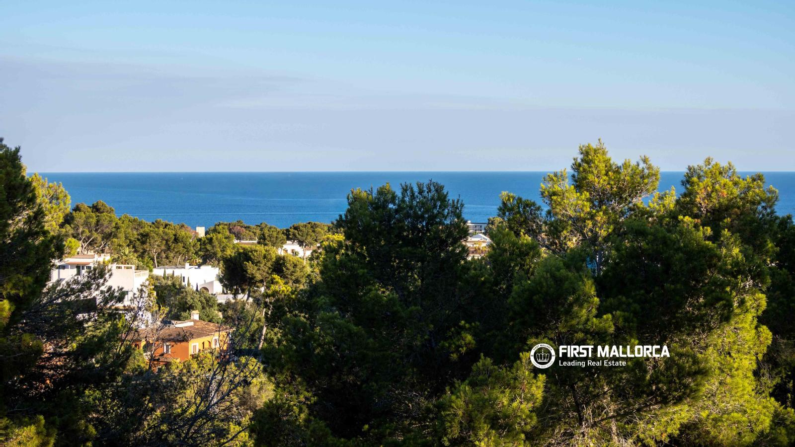 Villa for Rent in Calvià