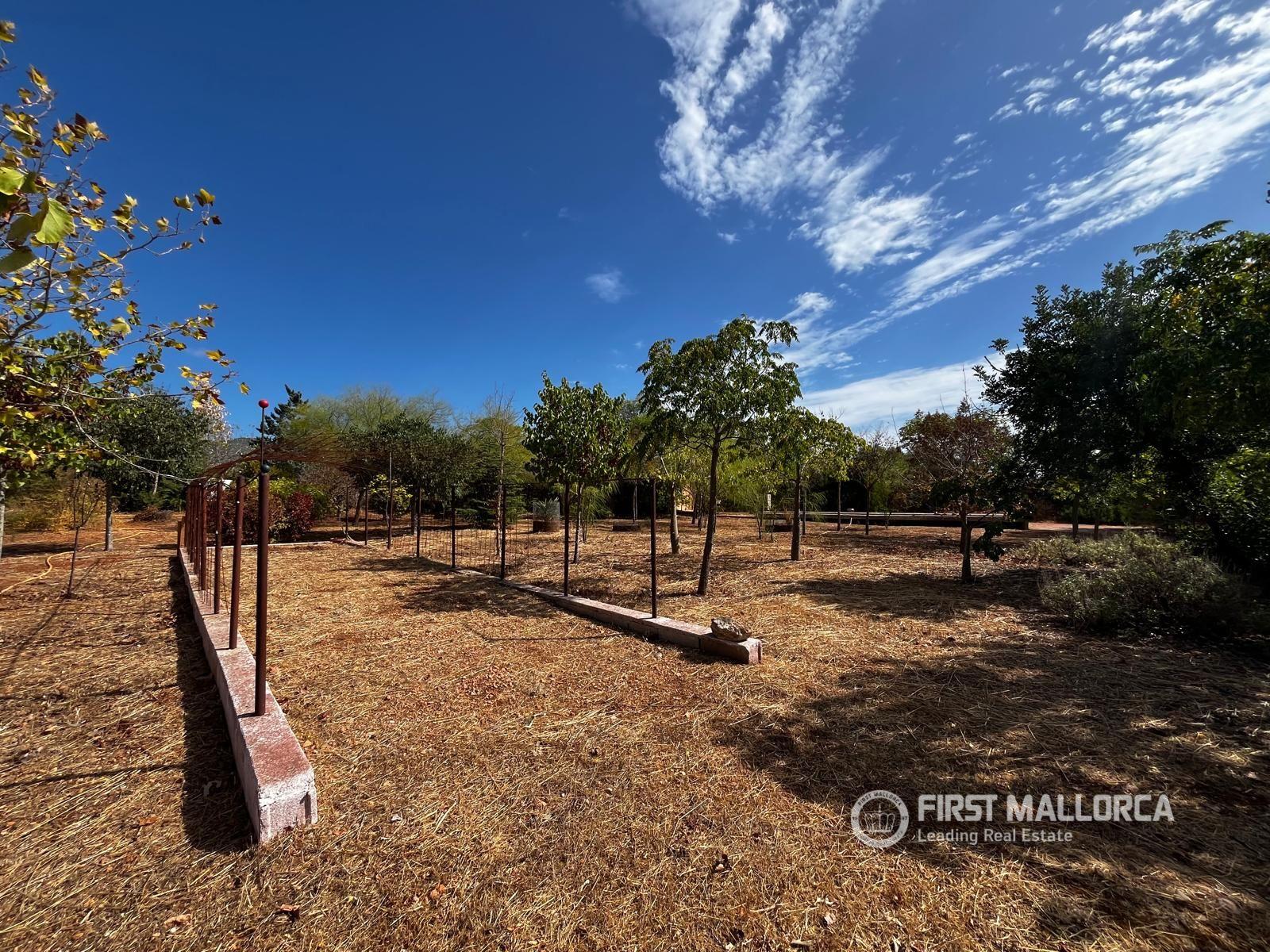 Finca en Venta en Marratxí