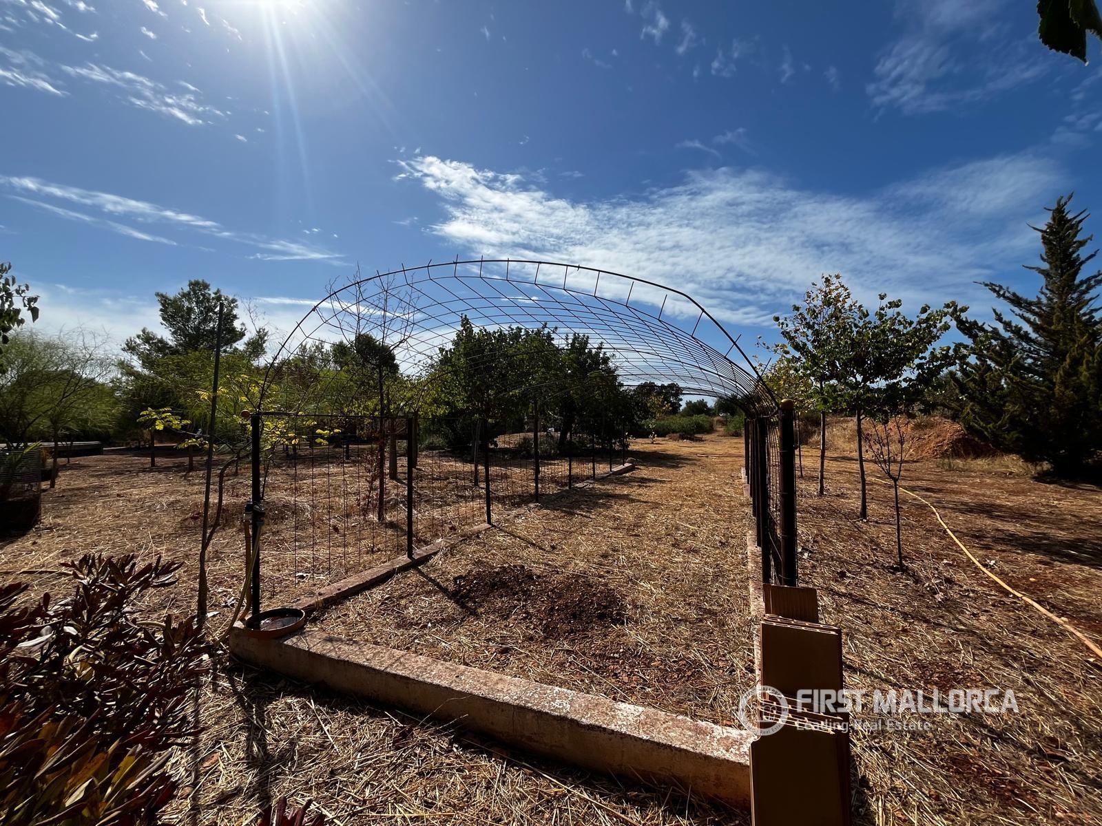 Finca en Venta en Marratxí