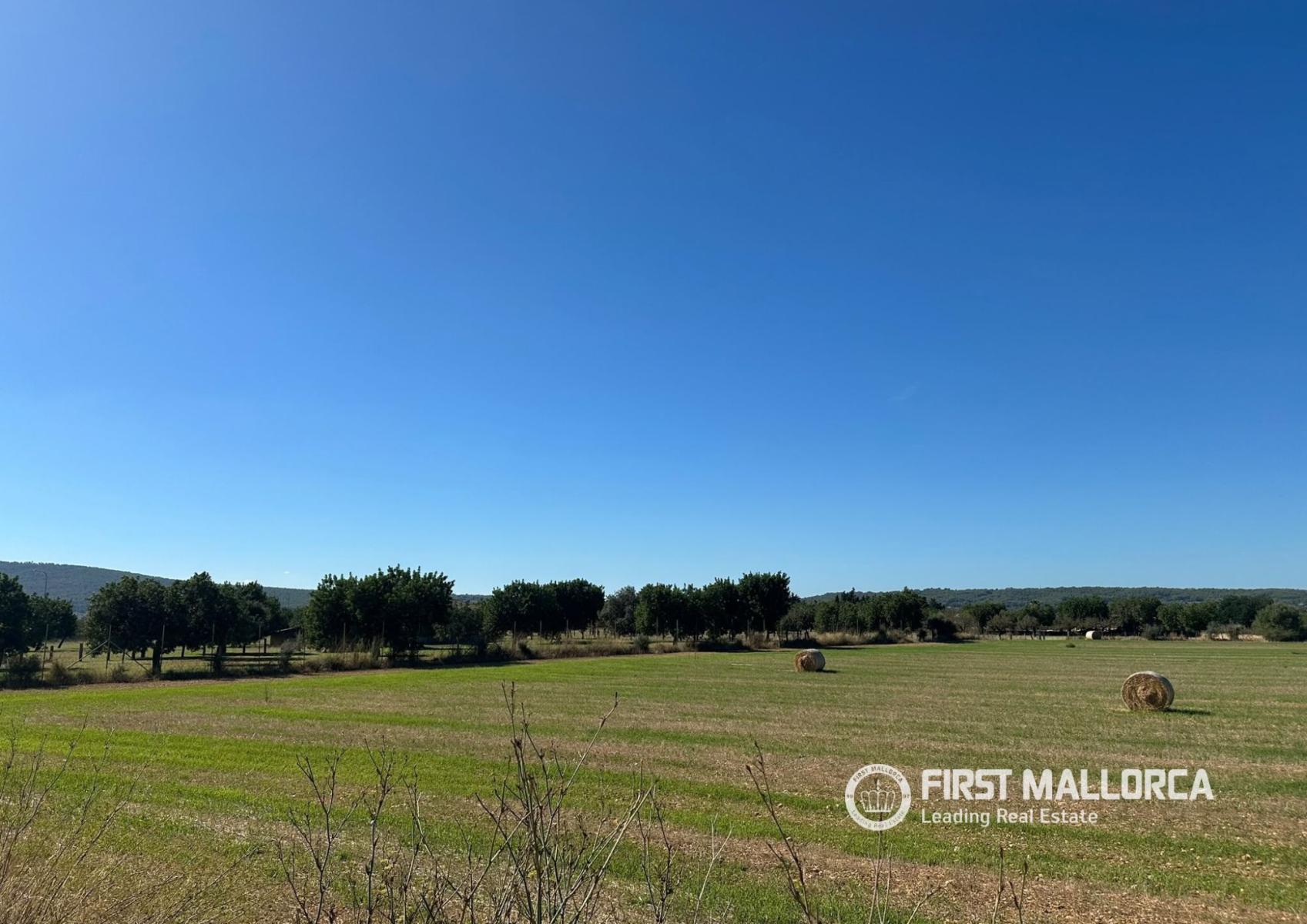 Building Site for Sale in Santa María del Camí