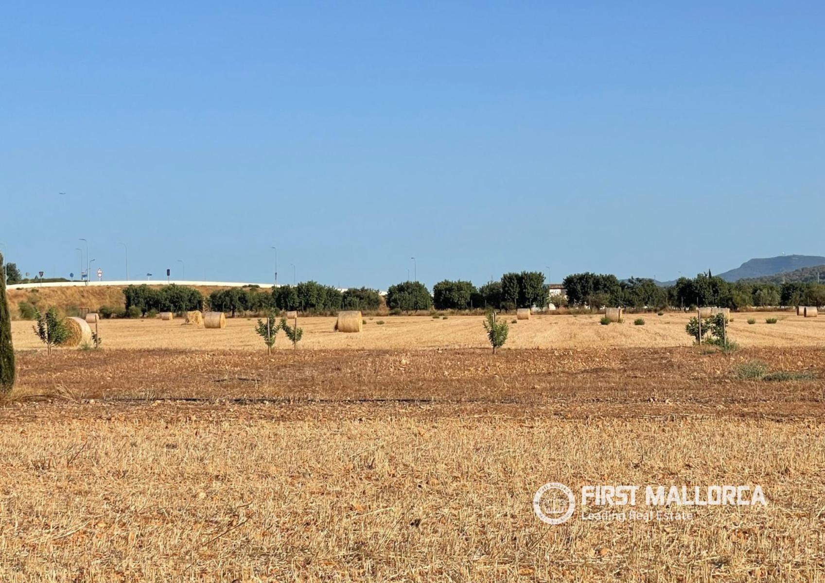 Solar en Venta en Santa María del Camí