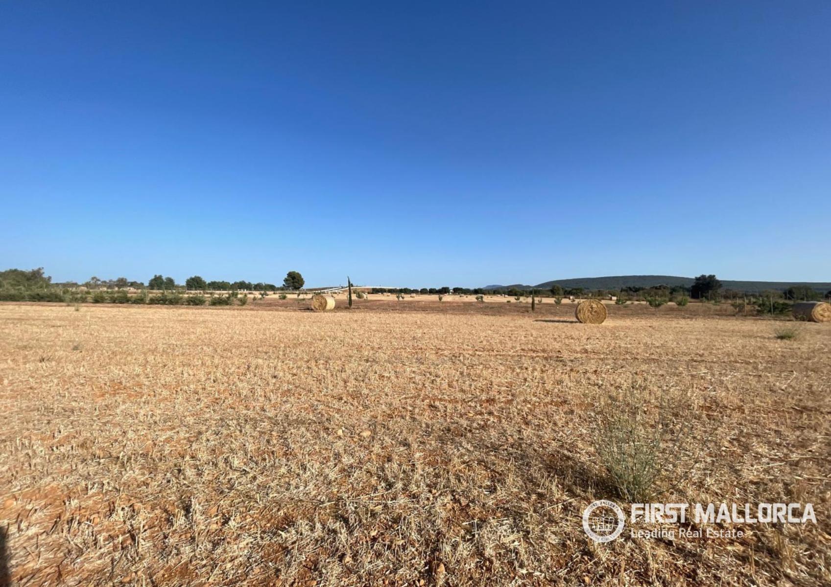 Solar en Venta en Santa María del Camí