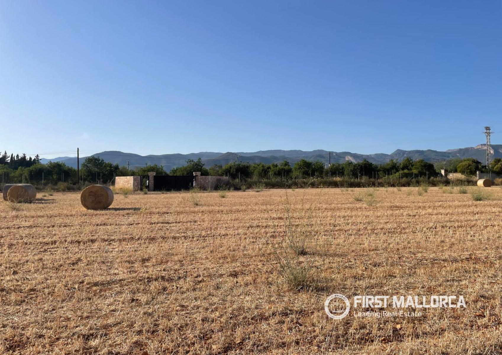 Solar en Venta en Santa María del Camí
