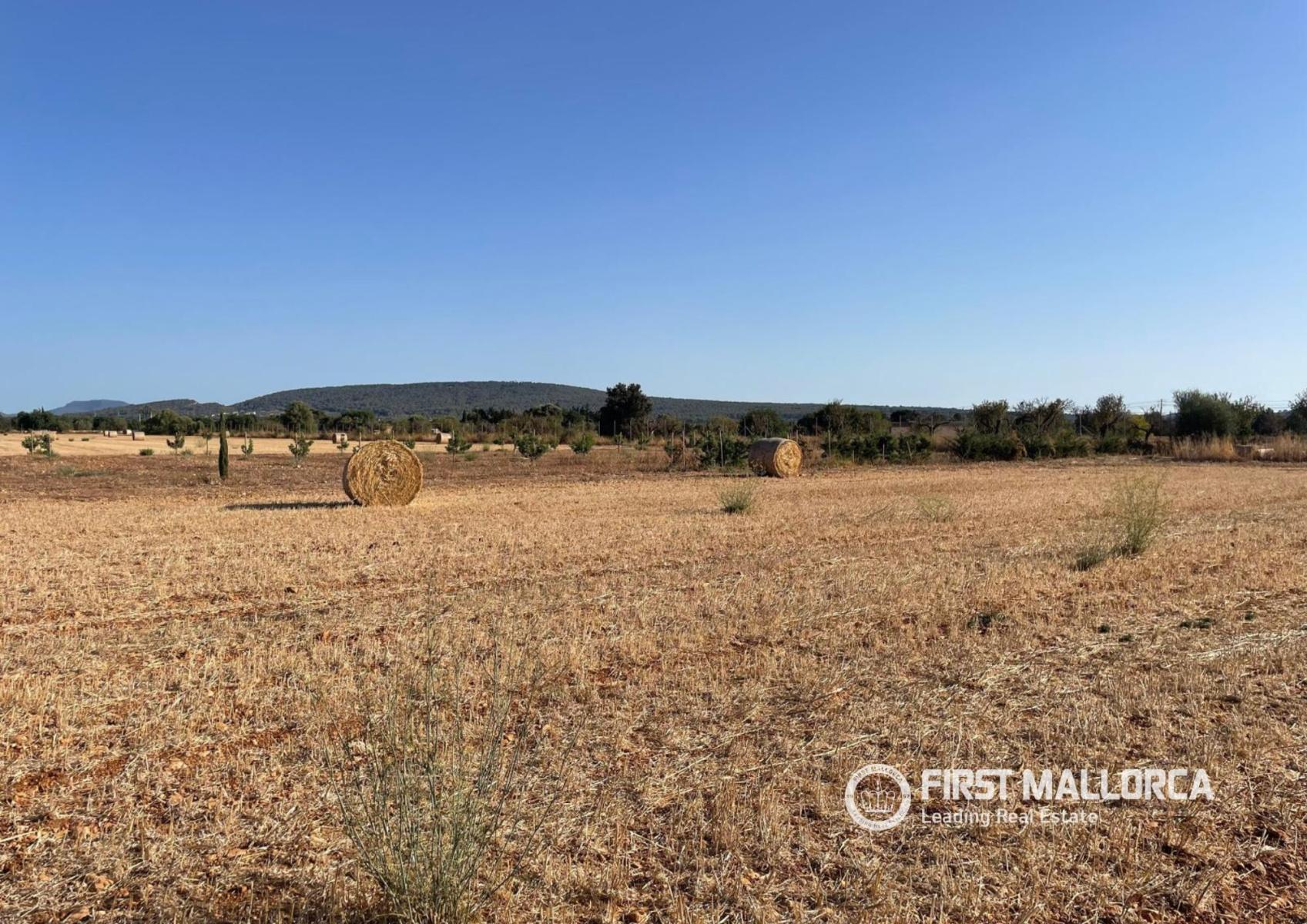Solar en Venta en Santa María del Camí