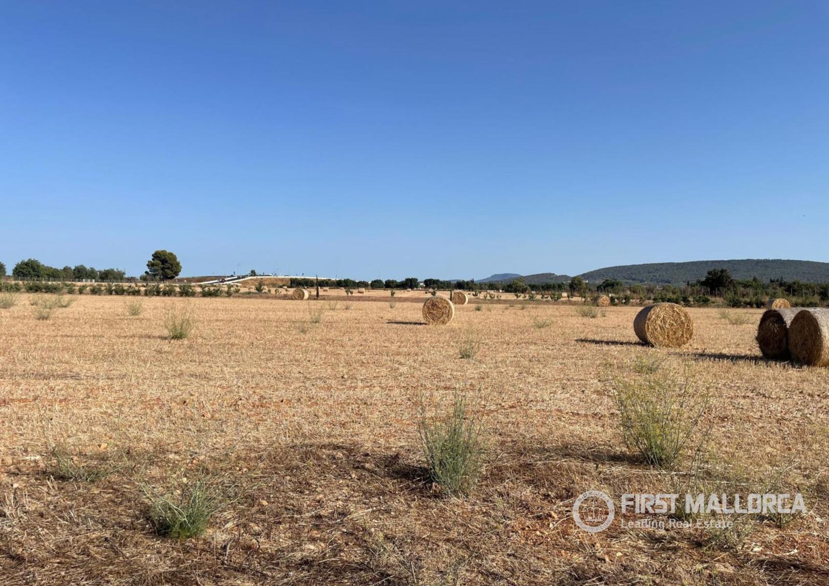 Solar en Venta en Santa María del Camí