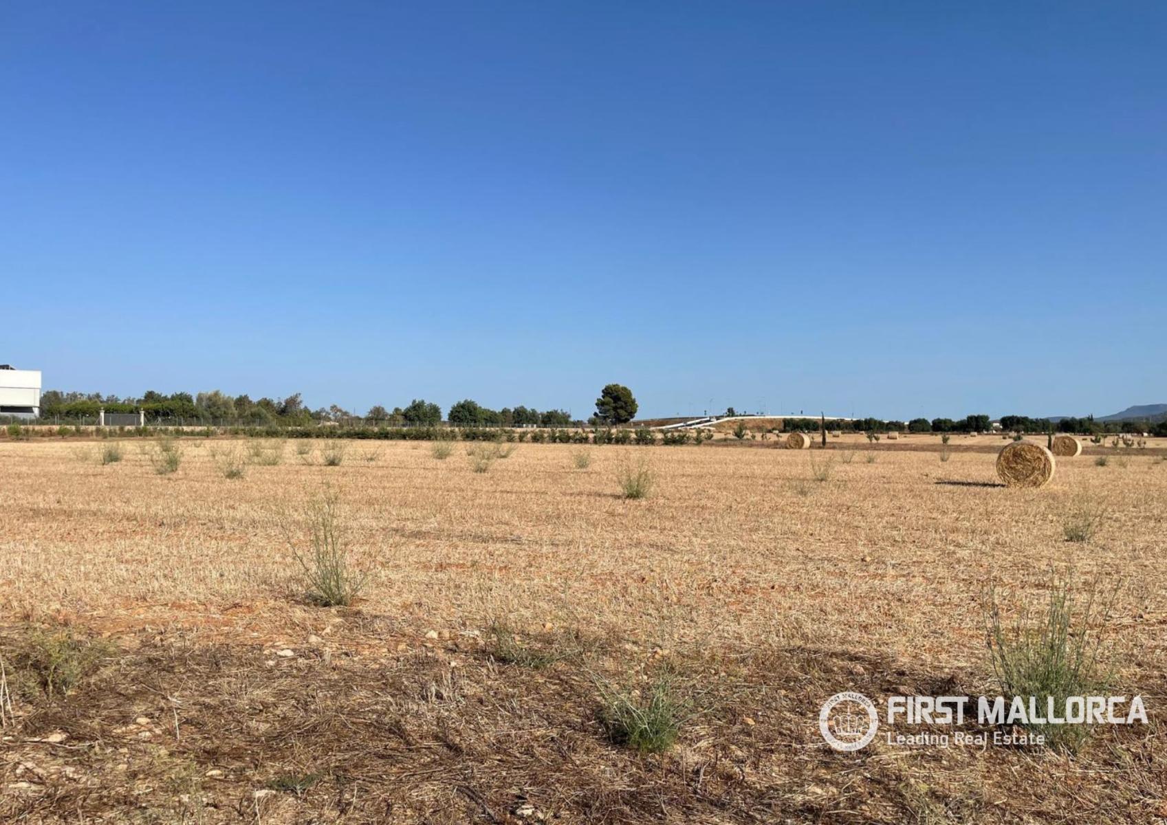 Solar en Venta en Santa María del Camí