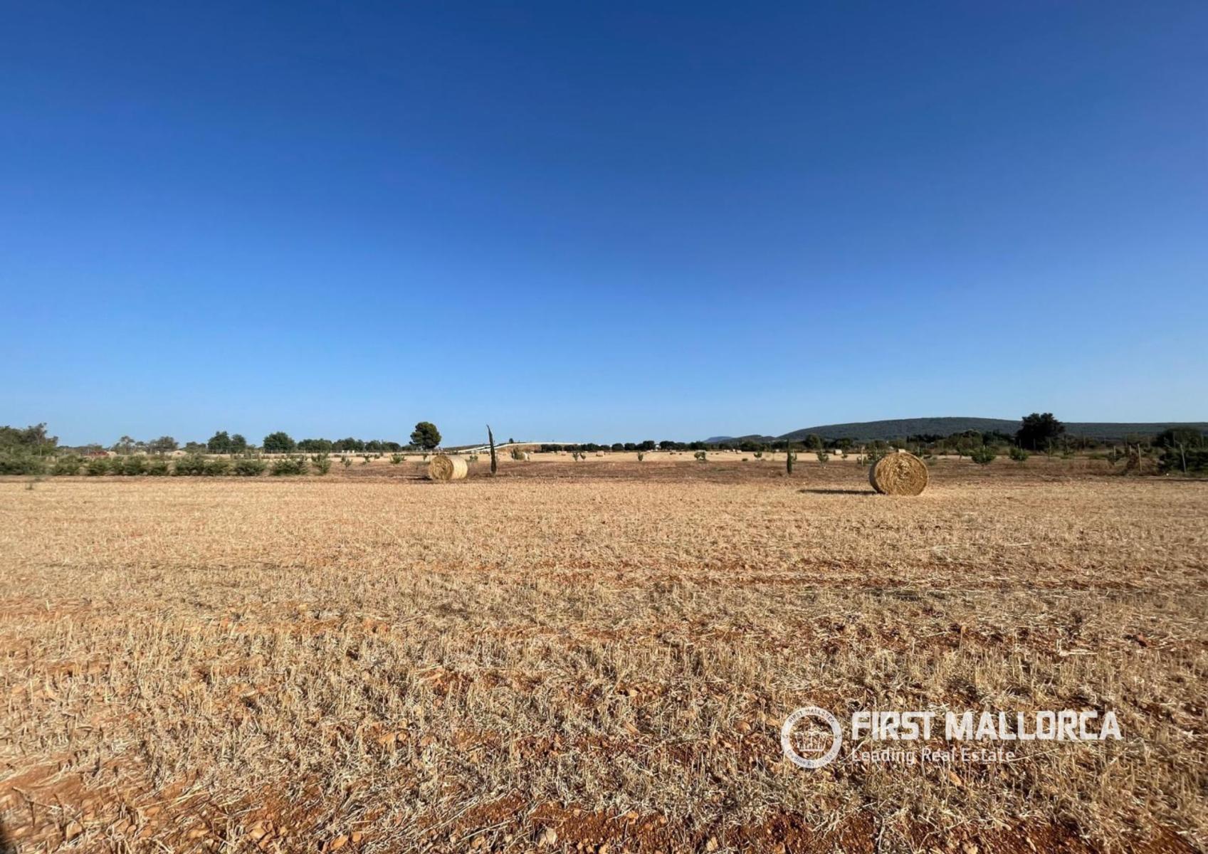 Solar en Venta en Santa María del Camí