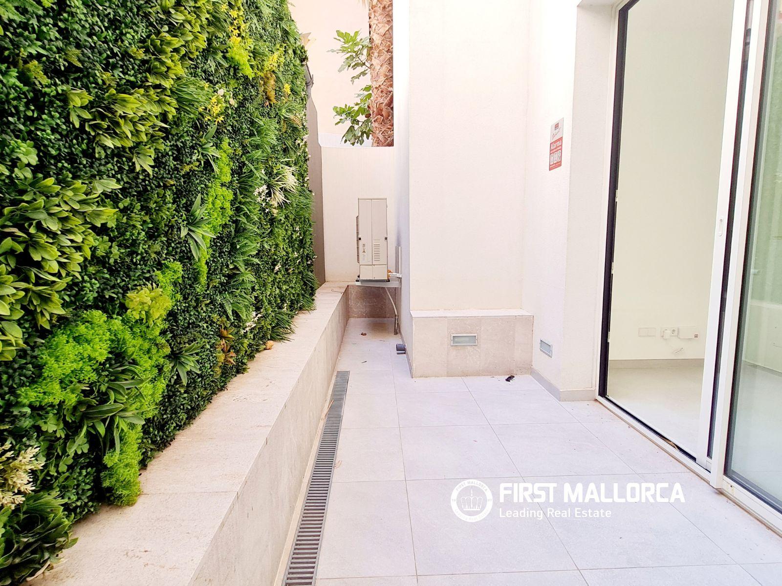 Premise for Rent in Palma de Mallorca