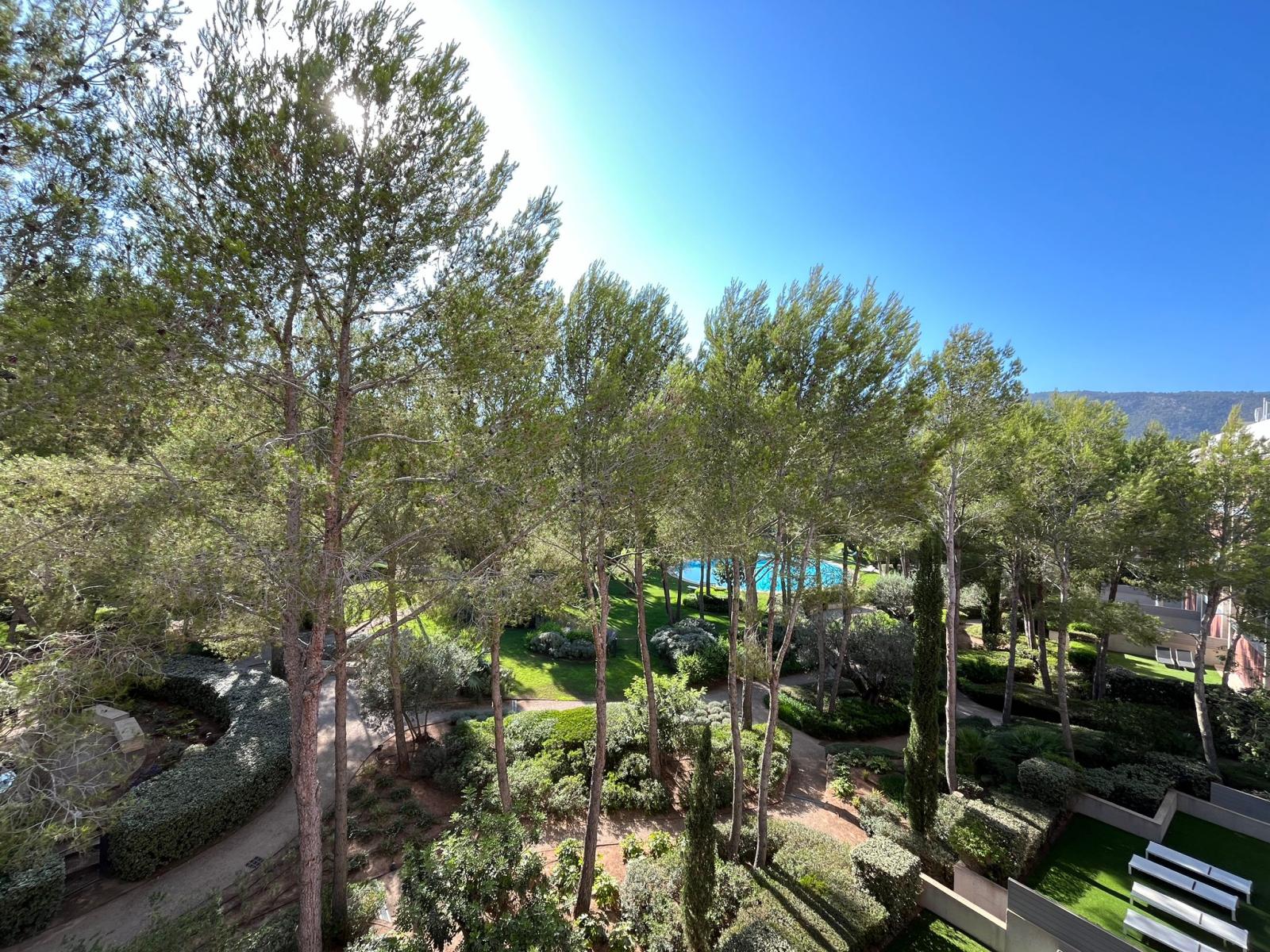 Penthouse for Rent in Calvià