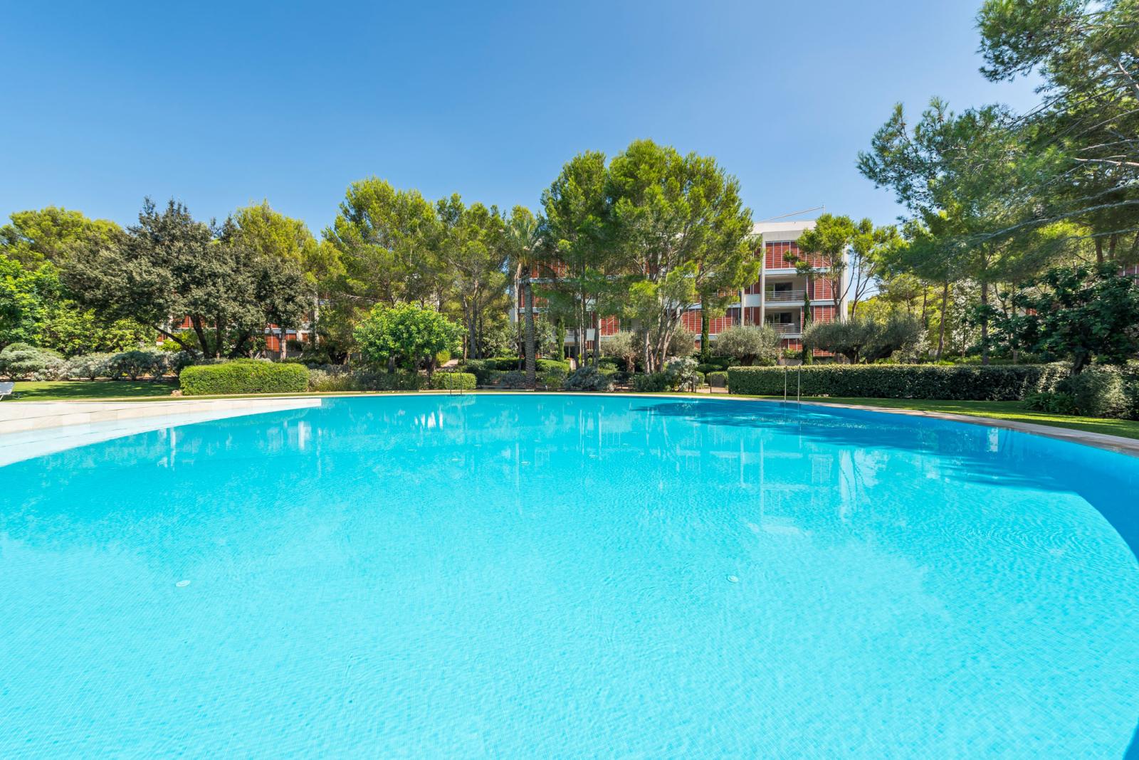 Penthouse for Rent in Calvià