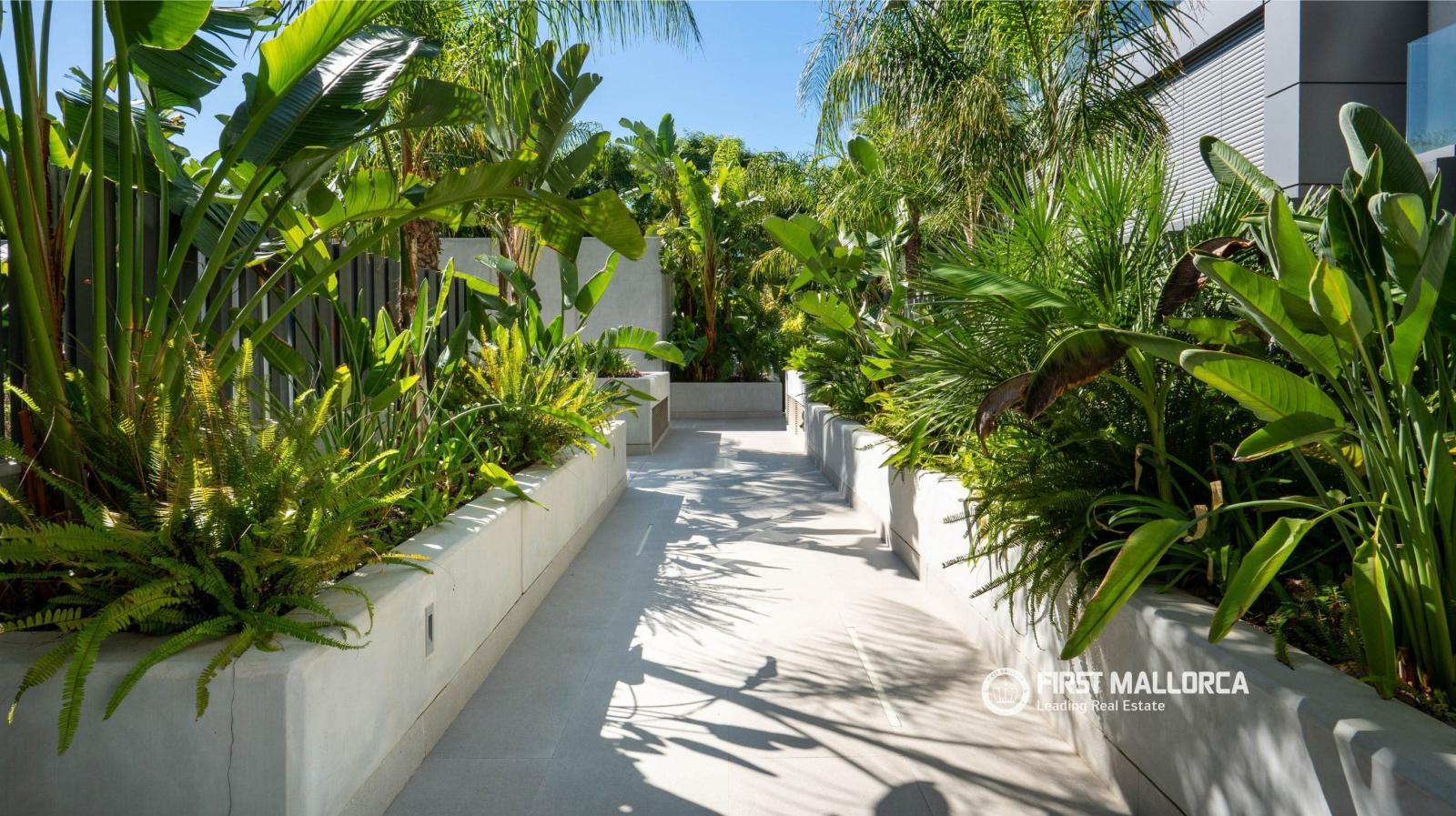 Apartamento en Venta en Palma de Mallorca