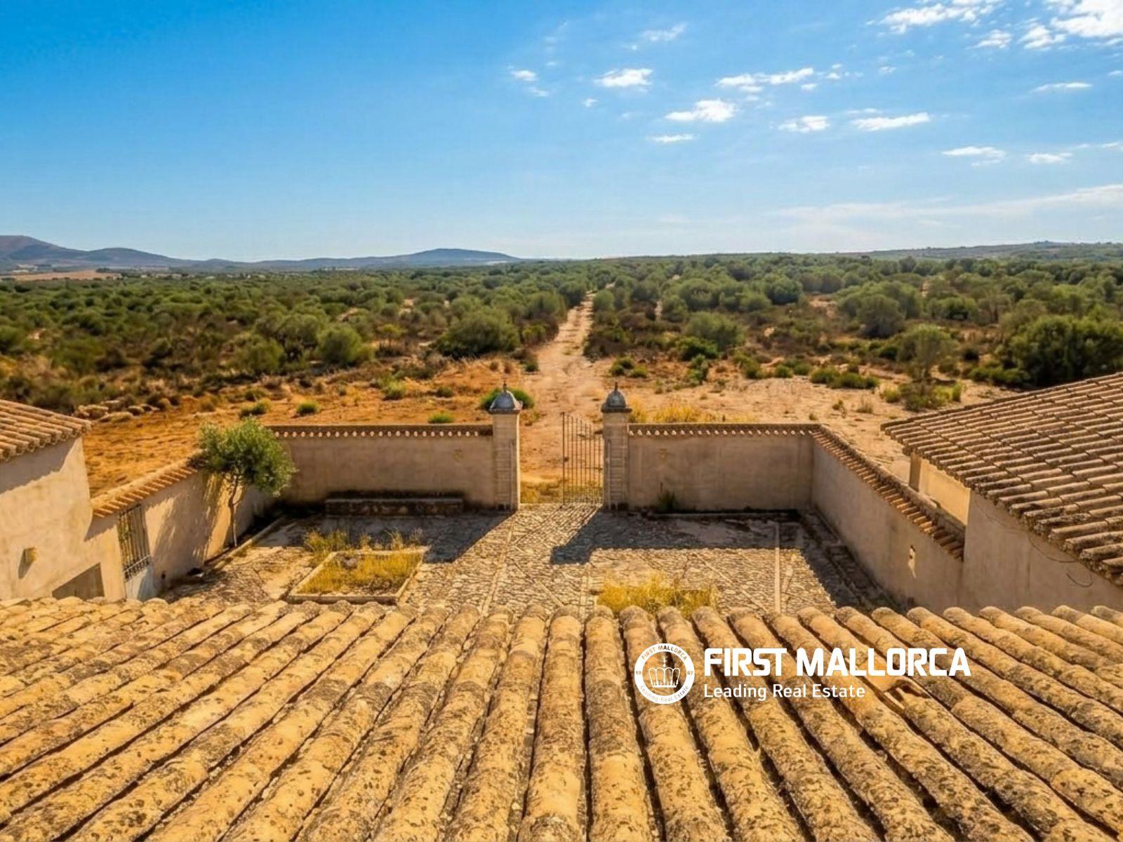 Finca en Venta en Petra
