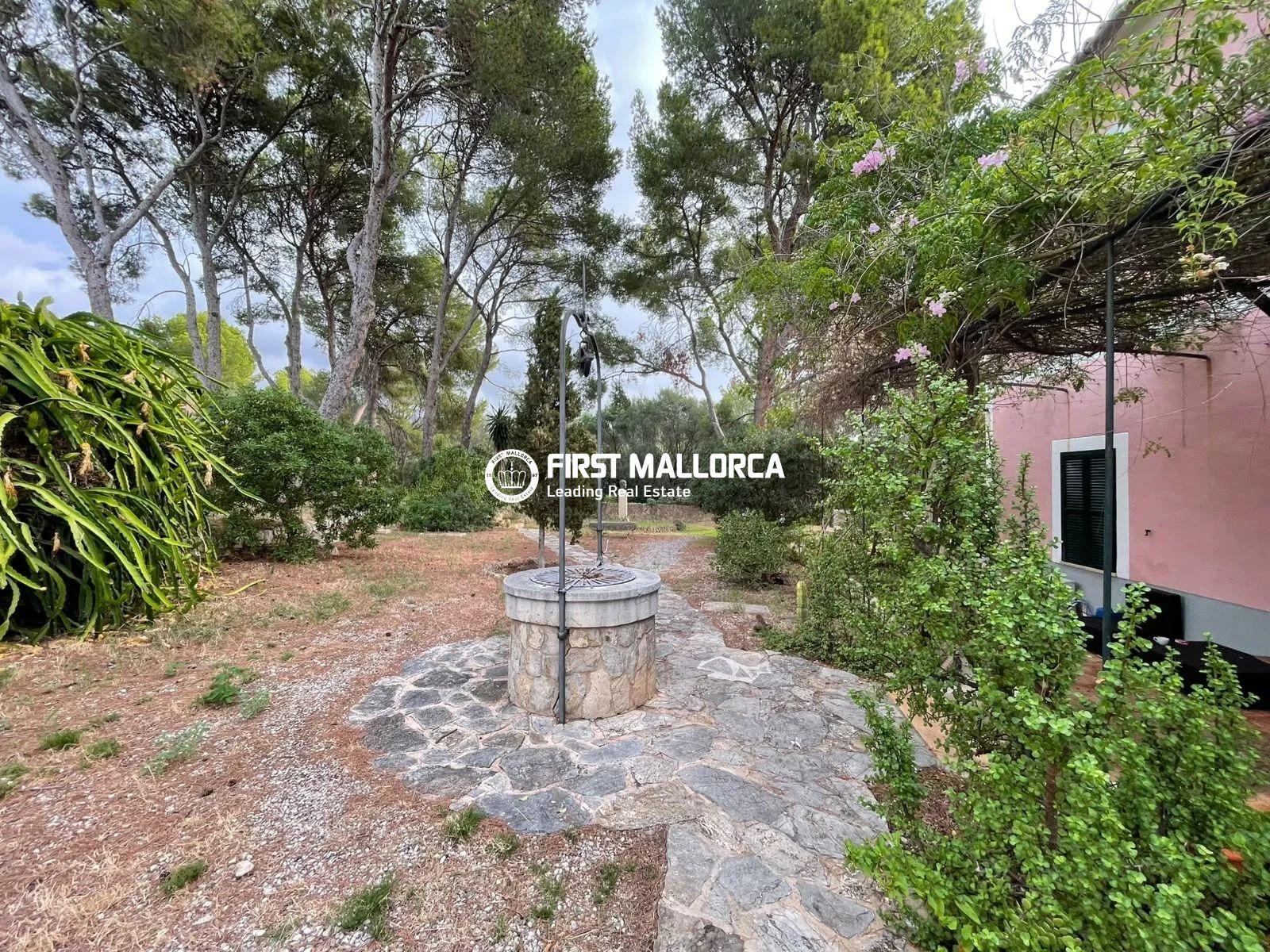 Villa for Rent in Calvià