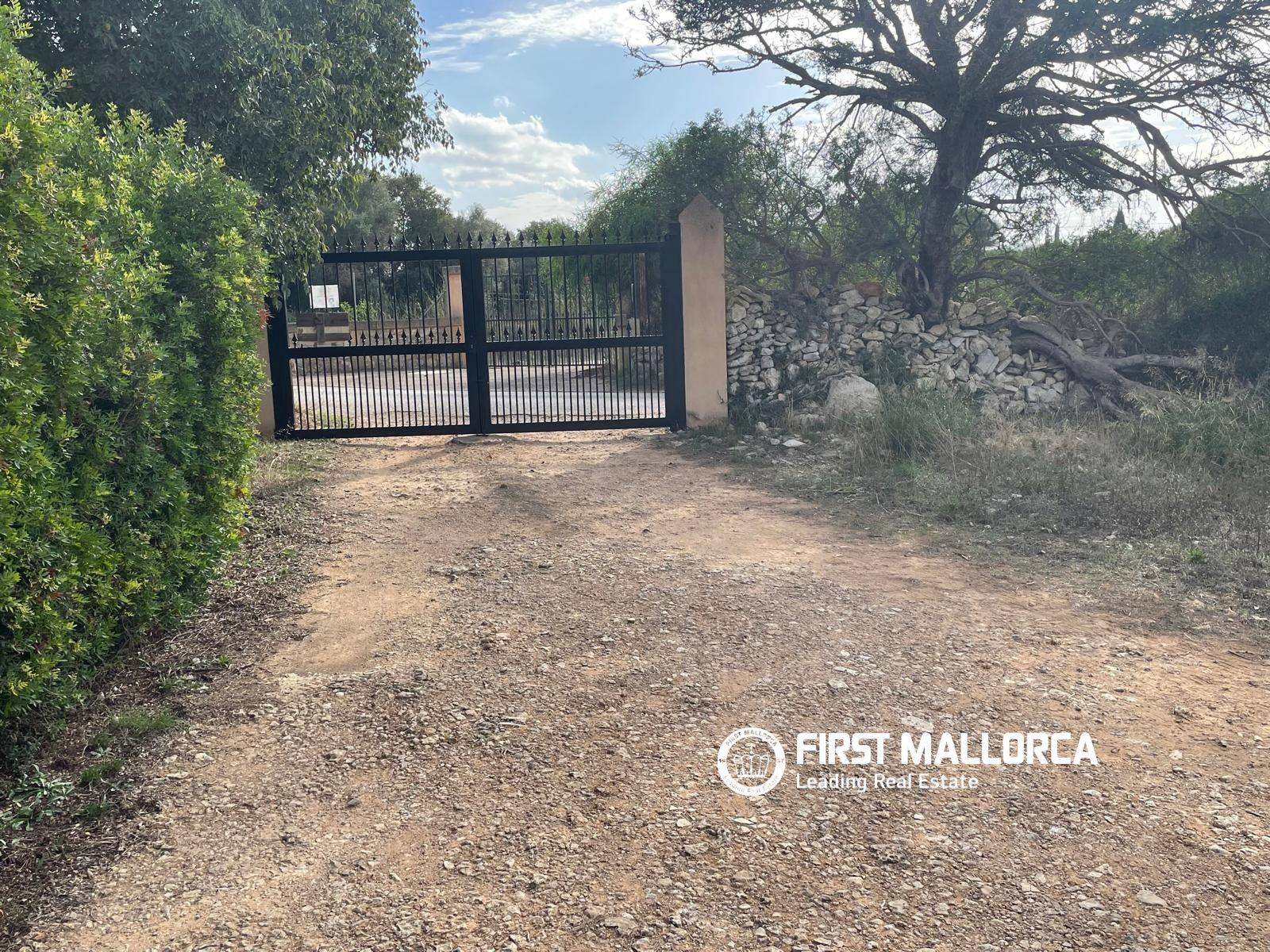 Solar en Venta en Sencelles