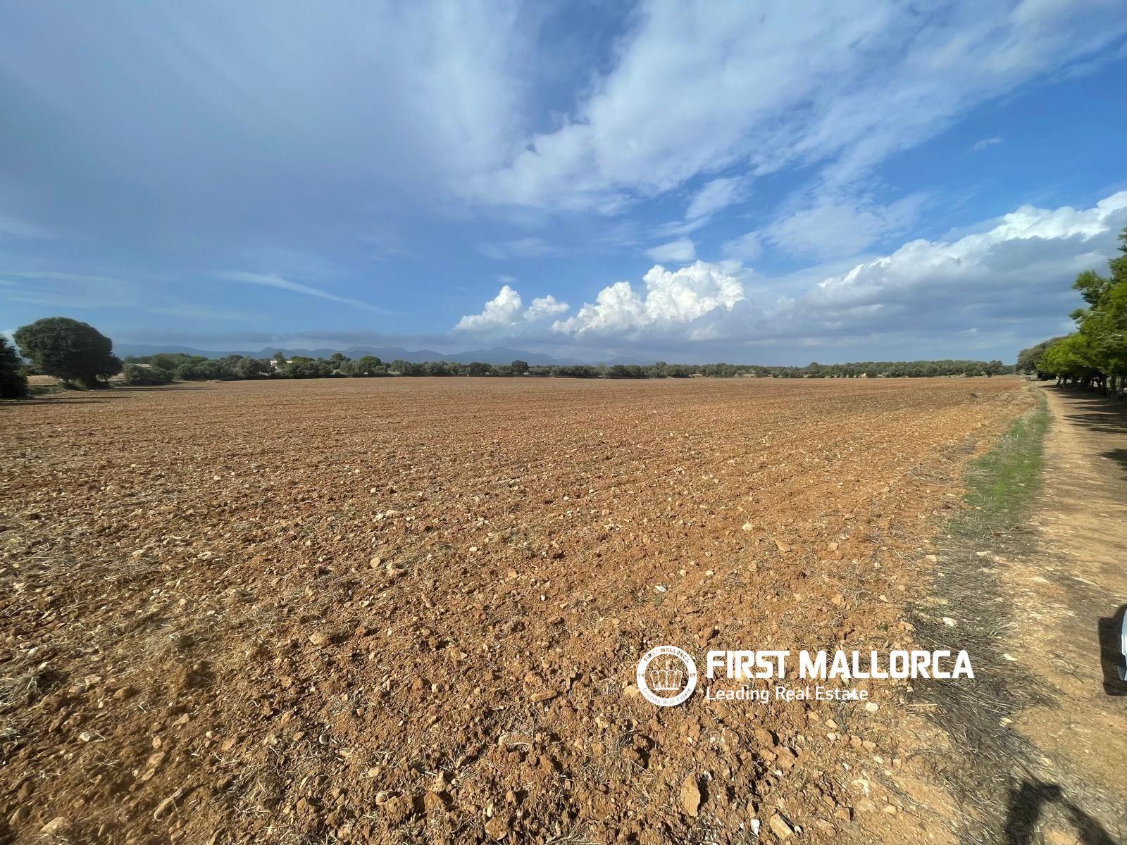Solar en Venta en Sencelles