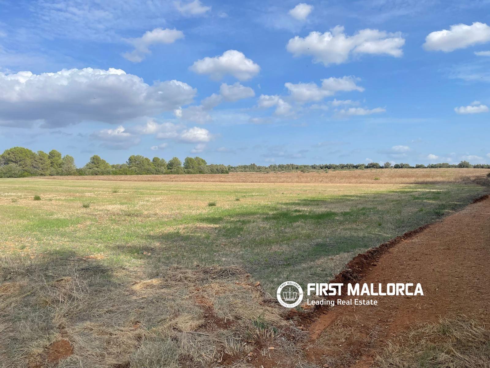 Solar en Venta en Sencelles