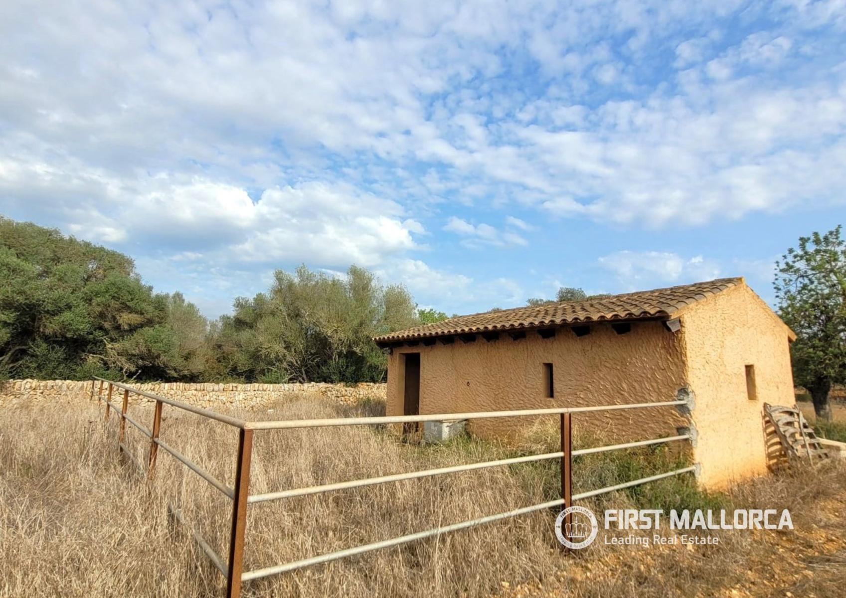 Solar en Venta en Campos